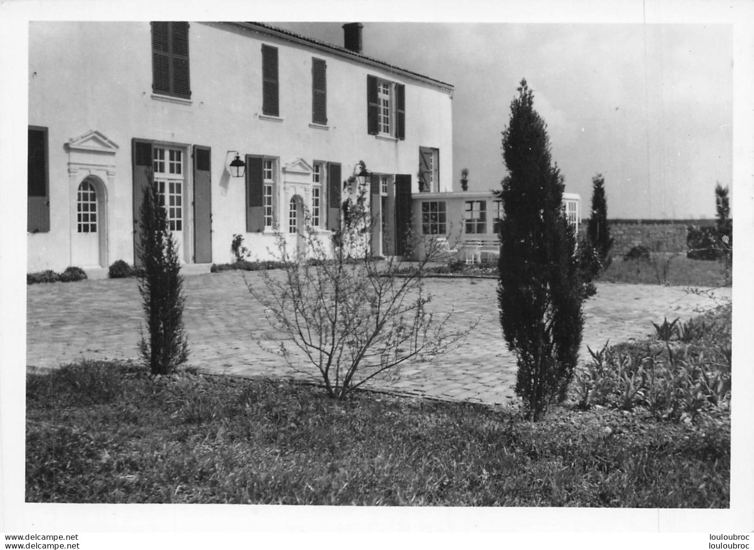 NIEUL SUR MER LA PREE AUX BOEUFS CARTE PHOTO GD FORMAT R1 - Andere & Zonder Classificatie