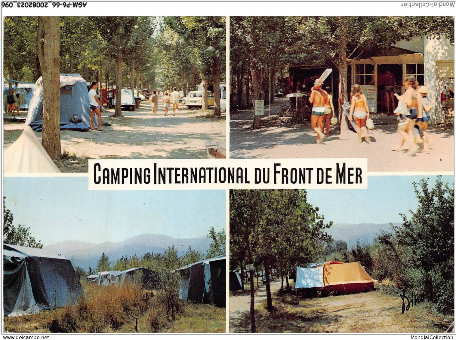 AGMP6-0477-66 - Camping International Du Front De Mer - Ombrages Calme Confort Ravitaillement Sur Place - ARGELES-PLAGE - Argeles Sur Mer