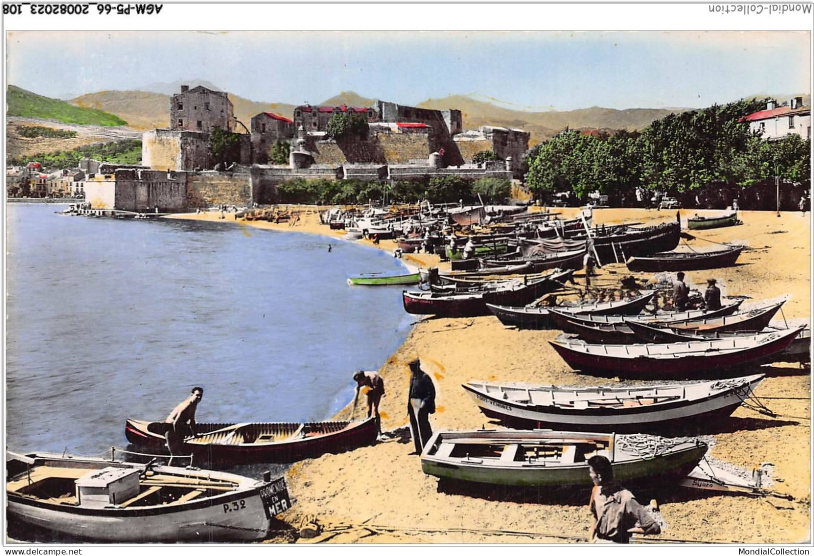 AGMP5-0407-66 - COLLIOURE - Le Port De Pèche - Le Chateau Des Templiers  - Collioure