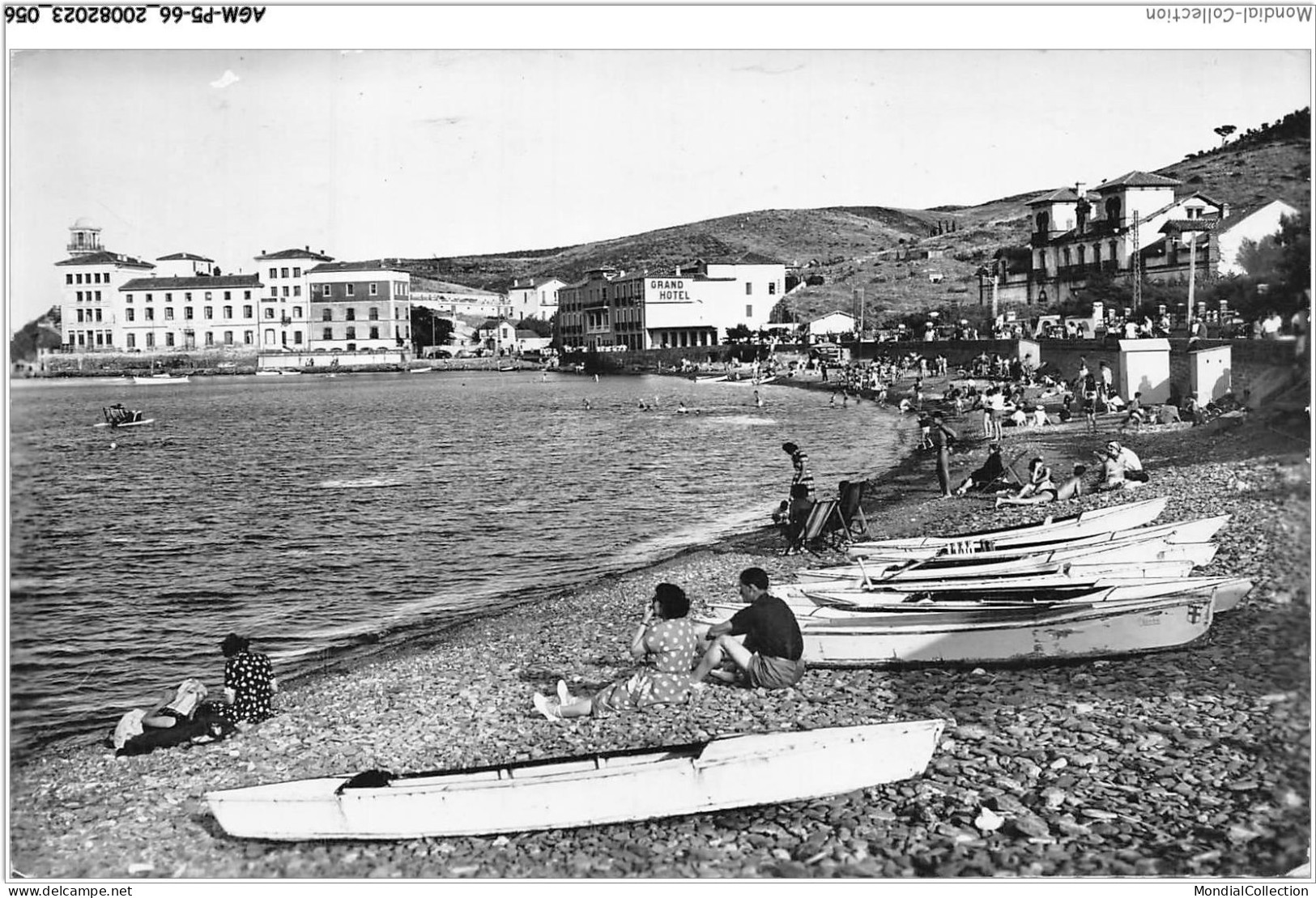 AGMP5-0381-66 - BANYULS-SUR-MER - La Plage Et Le Laboratoire  - Banyuls Sur Mer