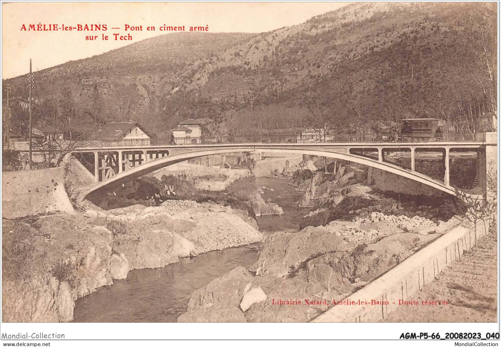 AGMP5-0373-66 - AMELIE-LES-BAINS - Pont En Ciment Armé Sur Le Tech  - Ceret