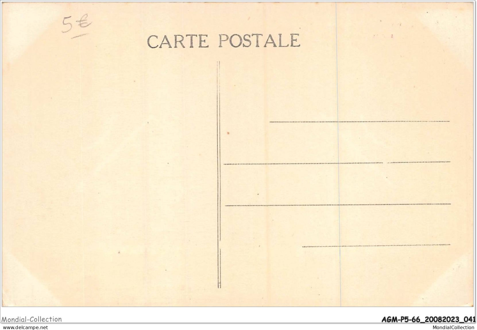 AGMP5-0373-66 - AMELIE-LES-BAINS - Pont En Ciment Armé Sur Le Tech  - Ceret