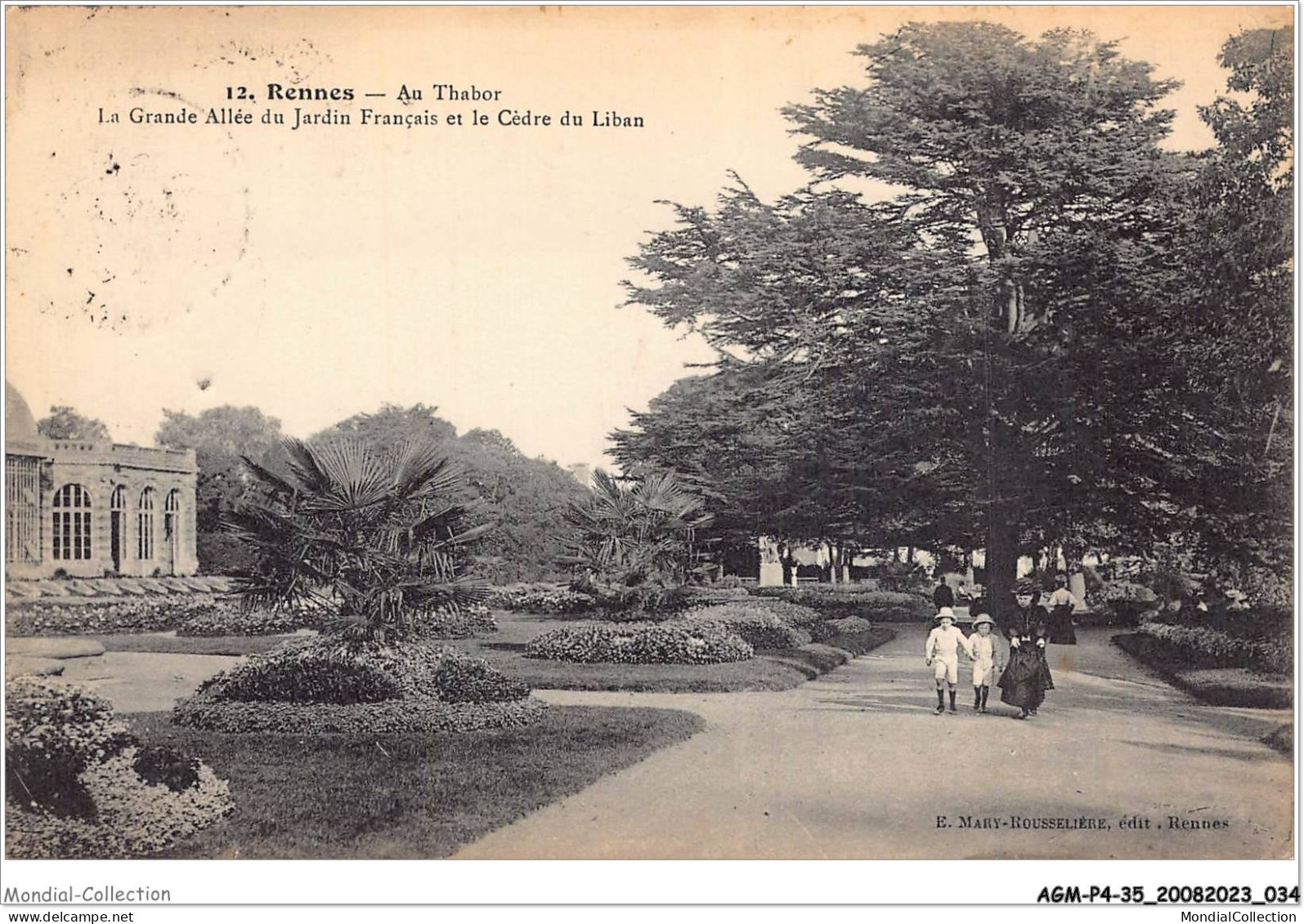 AGMP4-0268-35 - RENNES - Au Thabor - La Grande Allée Du Jardin Français Et Le Cèdre Du Liban  - Rennes