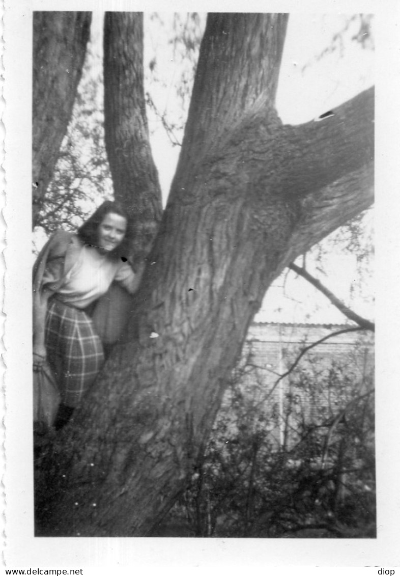 Photo Vintage Paris Snap Shop -femme Perch&eacute; Arbre Tree - Anonymous Persons