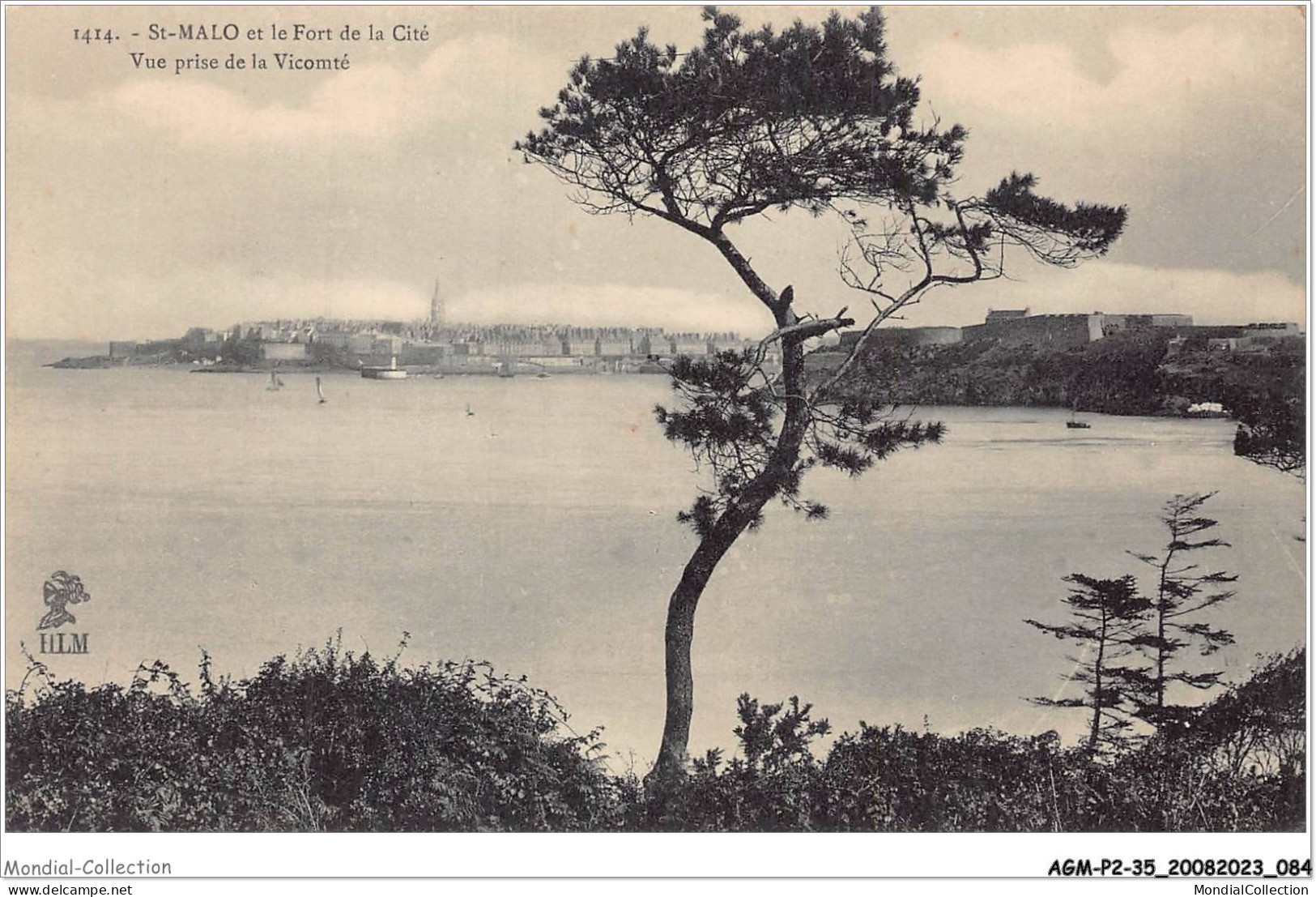 AGMP2-0111-35 - SAINT-MALO Et Le Fort De La Cité - Vue Prise De La Vicomté  - Saint Malo