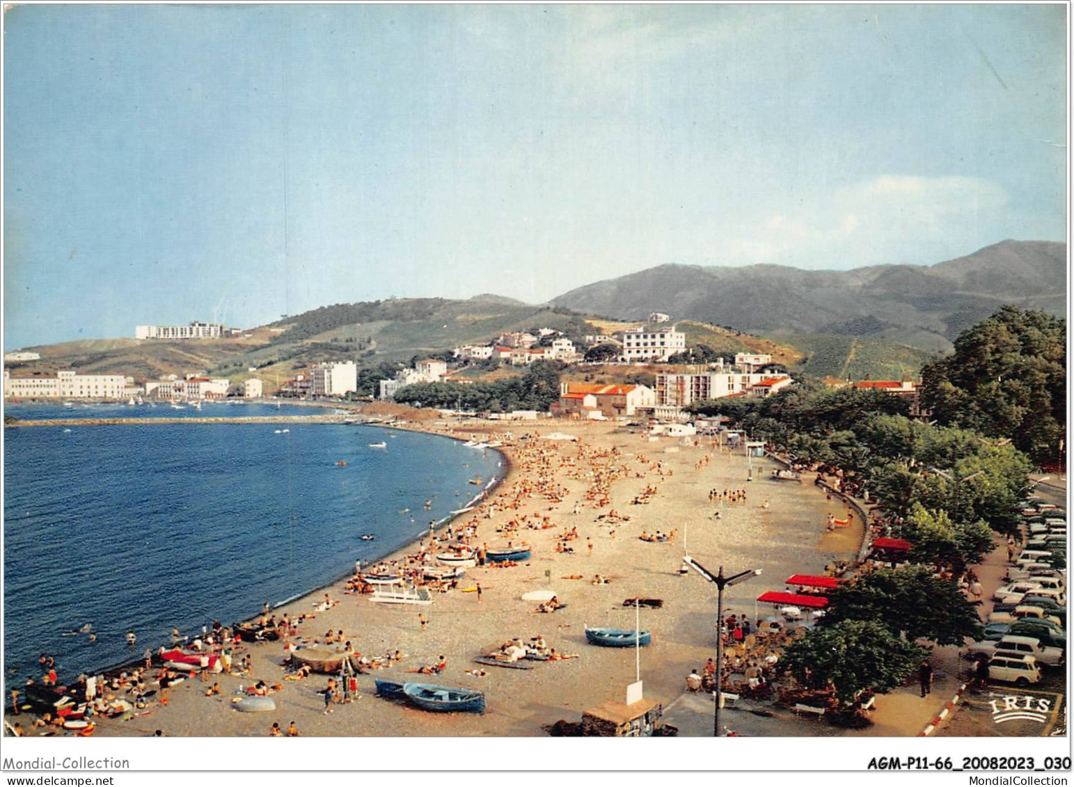 AGMP11-0756-66 - BANYULS-SUR-MER - Vue Générale De La Plage - Au Fond Le Port Et Le Laboratoire Arago  - Banyuls Sur Mer