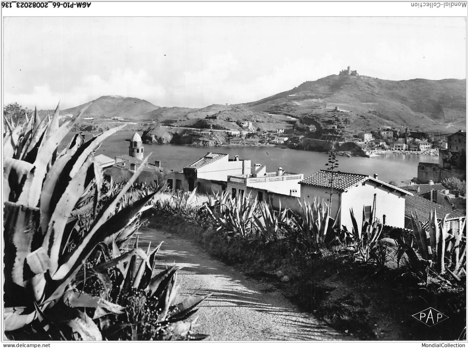 AGMP10-0738-66 - COLLIOURE - Vue Panoramique  - Collioure