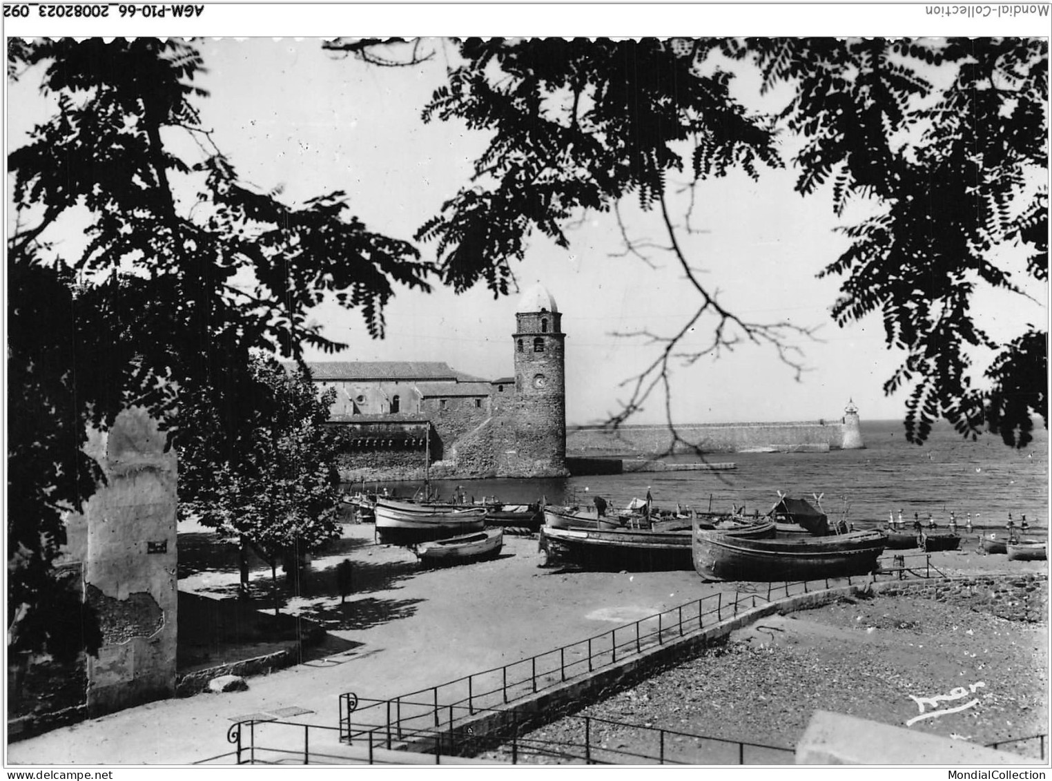 AGMP10-0716-66 - COLLIOURE - Le Port Et L'église  - Collioure