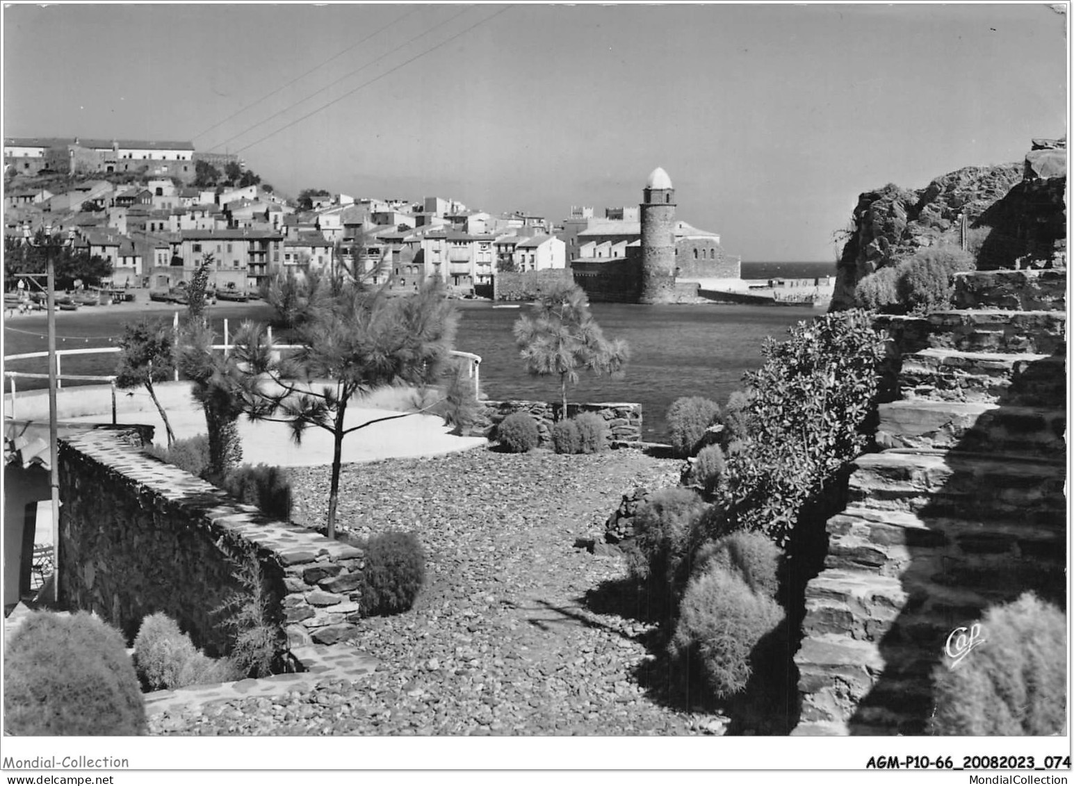 AGMP10-0707-66 - COLLIOURE - Vue Générale - Prise Des Terrasses De L'auberge De La Balette  - Collioure