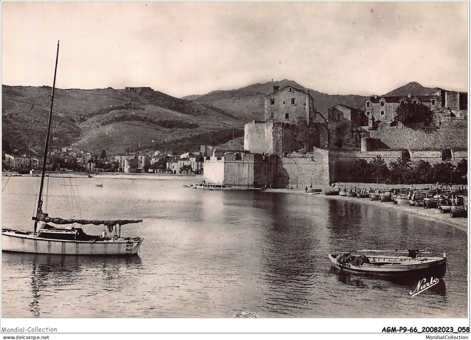 AGMP9-0645-66 - COLLIOURE - La Citadelle - Le Port De Peche  - Collioure