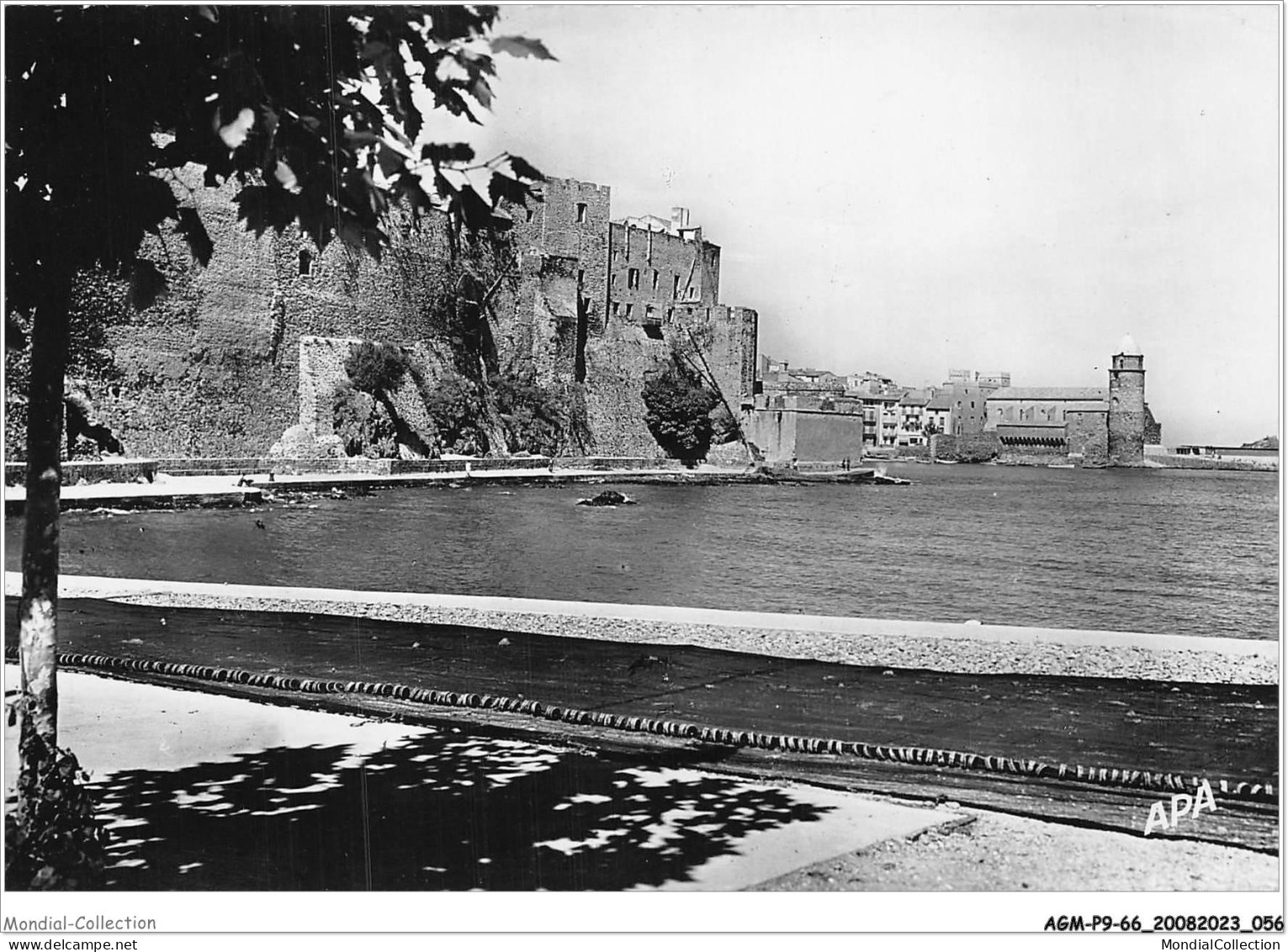 AGMP9-0644-66 - COLLIOURE - La Plage Du Faubourg - Collioure