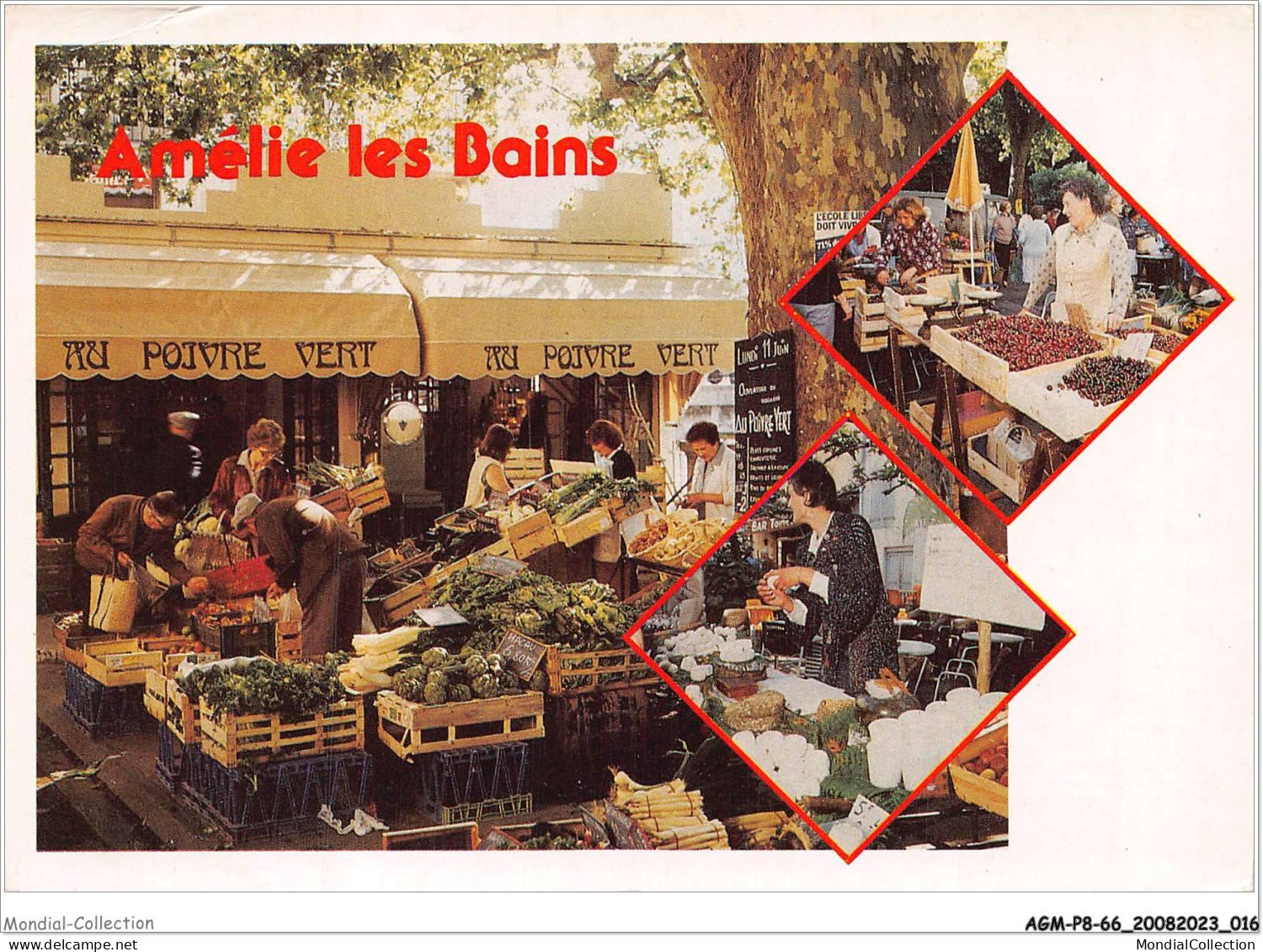 AGMP8-0564-66 - AMELIE-LES-BAINS - Au Poivre Vert - Le Marché  - Roussillon