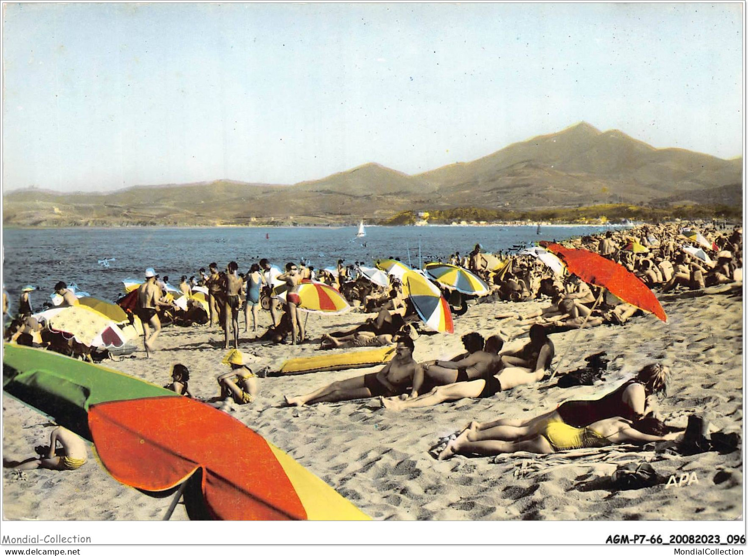 AGMP7-0545-66 - ARGELES-SUR-MER - La Plage Avec Au Fond Les Albères  - Argeles Sur Mer