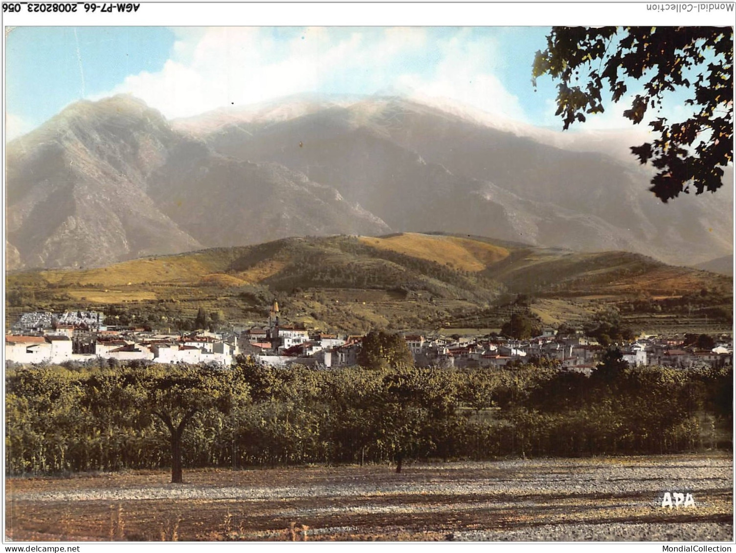 AGMP7-0525-66 - PRADES - Vue Générale Et Le Canigou  - Prades