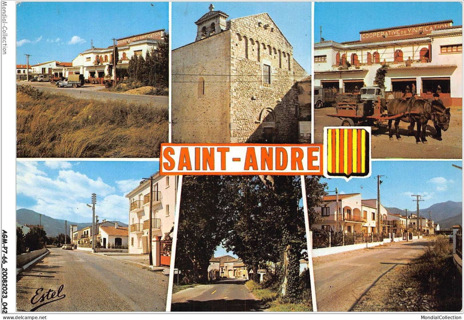 AGMP7-0518-66 - SAINT-ANDRE - La Cave Coopérative Vinicole - L'église  - Autres & Non Classés