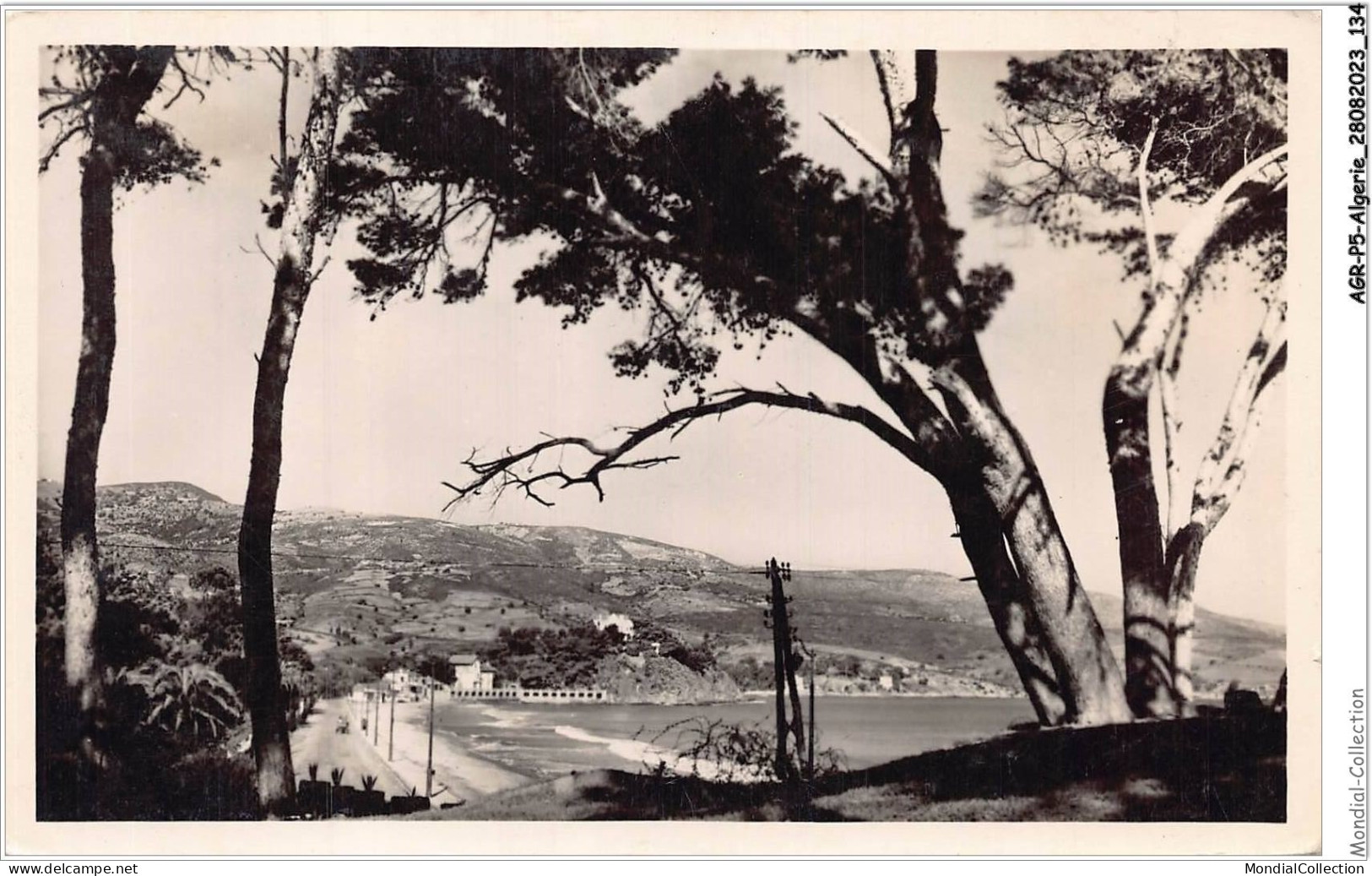 AGRP5-0397-ALGERIE - BONE - La Plage De Saint-cloud - Annaba (Bône)