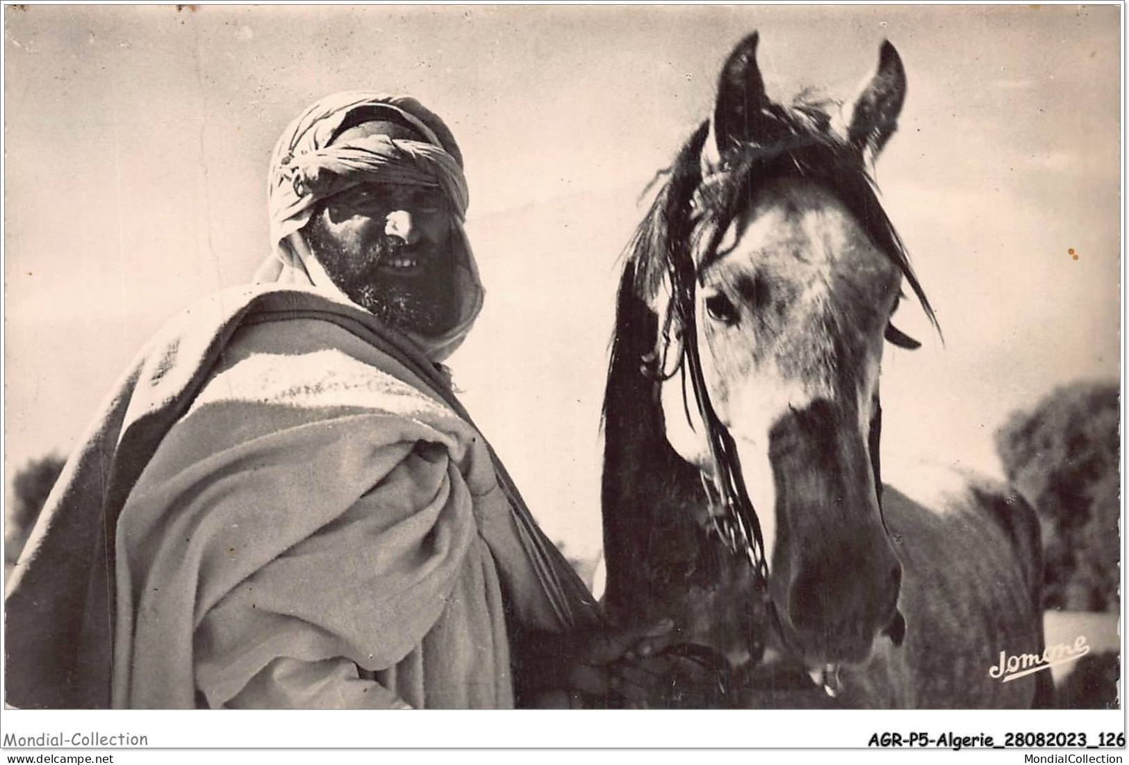 AGRP5-0393-ALGERIE - Scenes Et Types - Type De Cavalier Indigène - Szenen