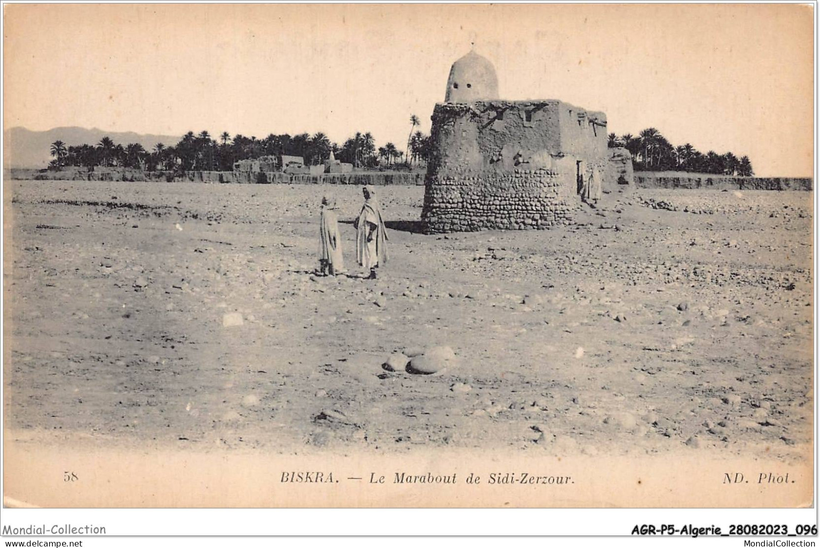 AGRP5-0378-ALGERIE - BISKRA - Le Marabout De Sidi-zerzour - Biskra