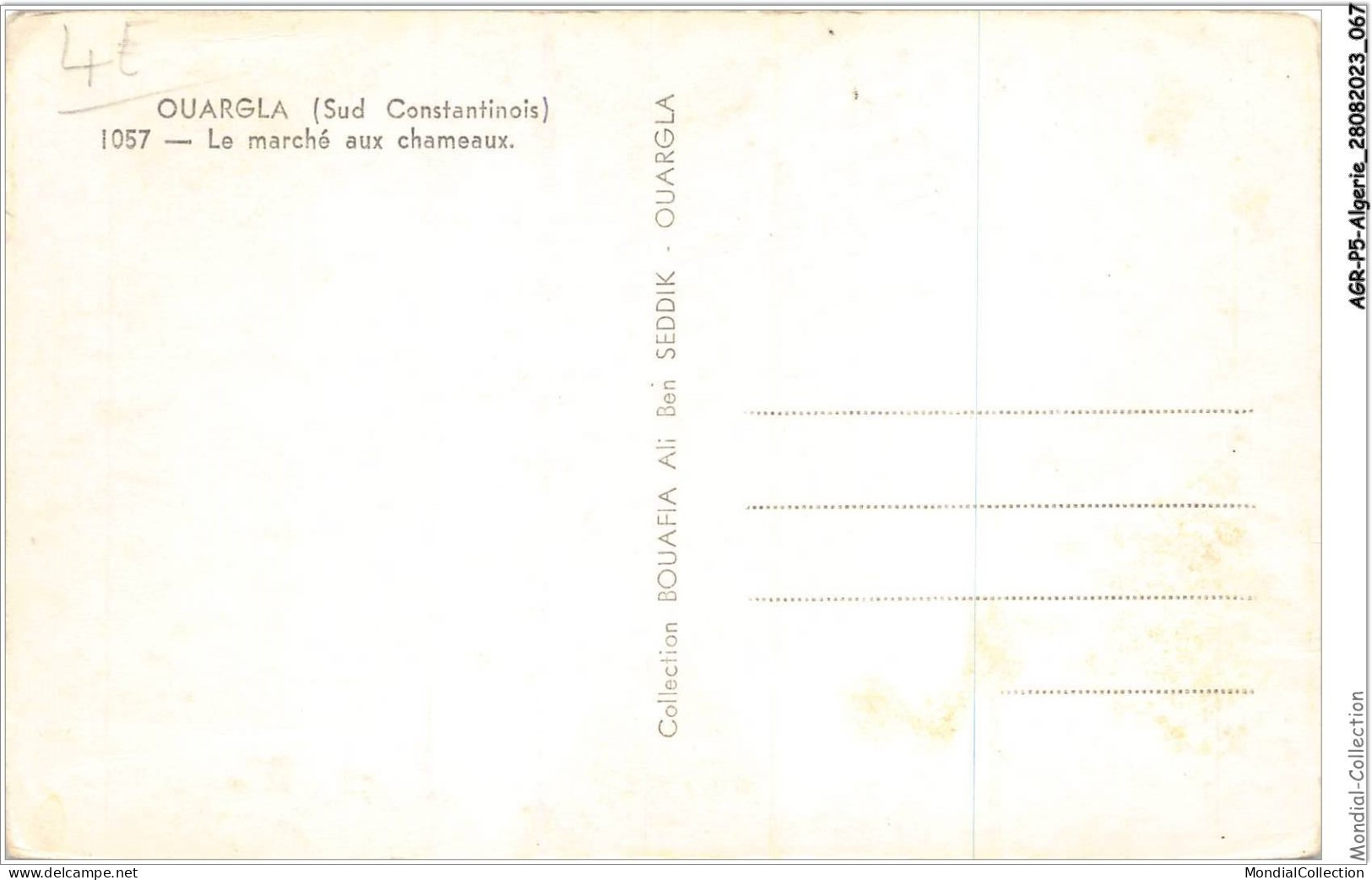 AGRP5-0363-ALGERIE - OUARGLA - Le Marché Aux Chaameaux - Ouargla