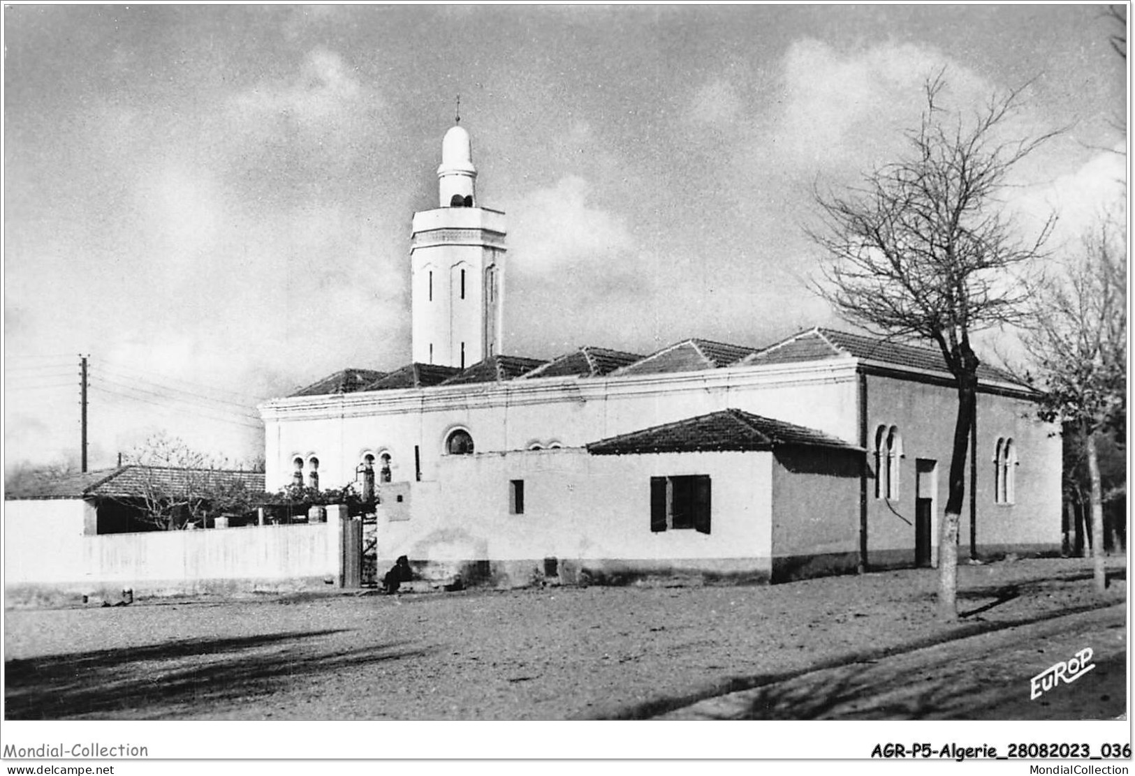 AGRP5-0348-ALGERIE - Ain - Beida - La Mosquée - Autres & Non Classés