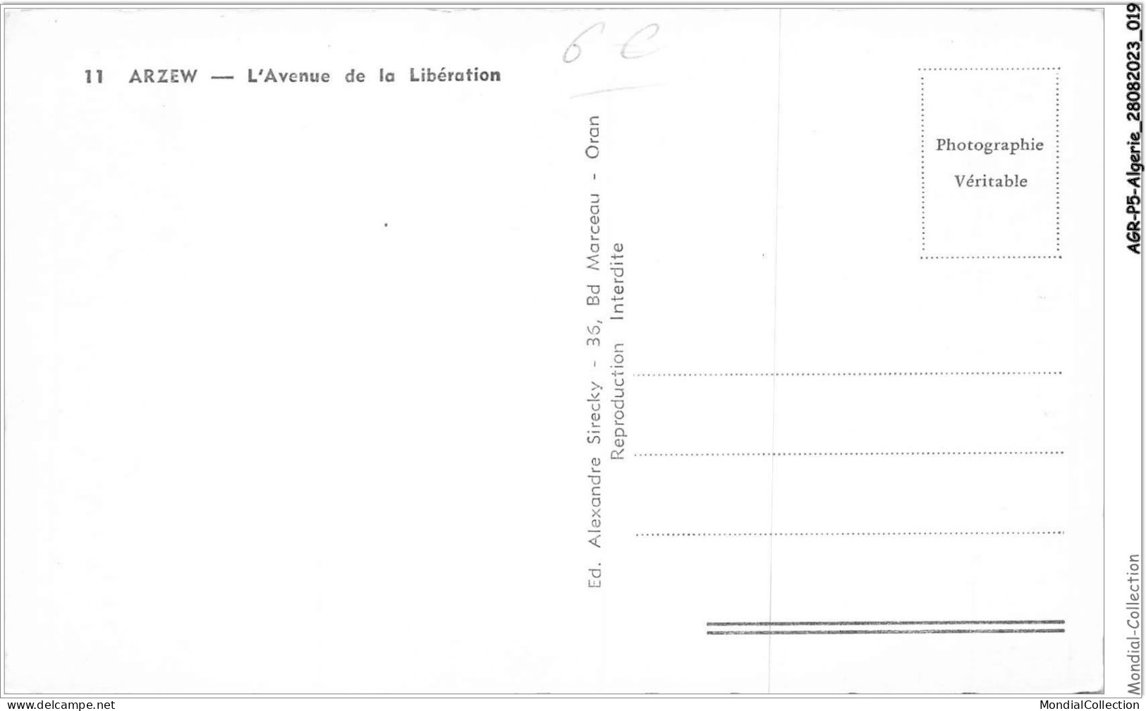 AGRP5-0339-ALGERIE - ARZEW - L'avennue De La Libération - Autres & Non Classés