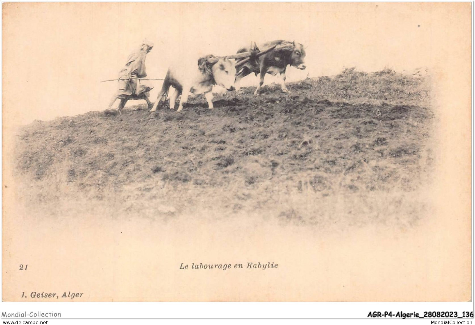 AGRP4-0314-ALGERIE - Le Labourage En Kabylie - Scènes & Types