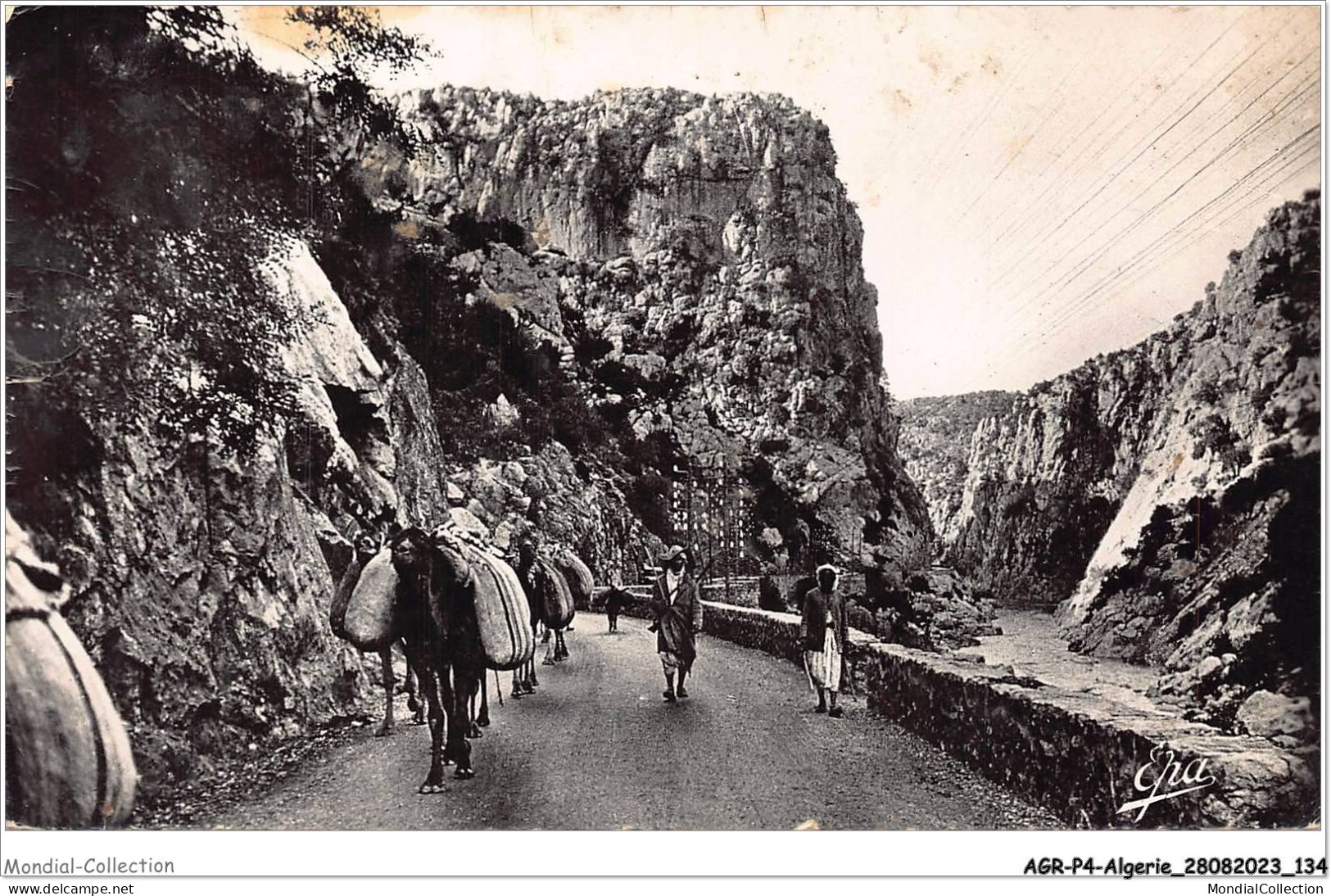 AGRP4-0313-ALGERIE - Gorges De Palestro - Caravane - Szenen