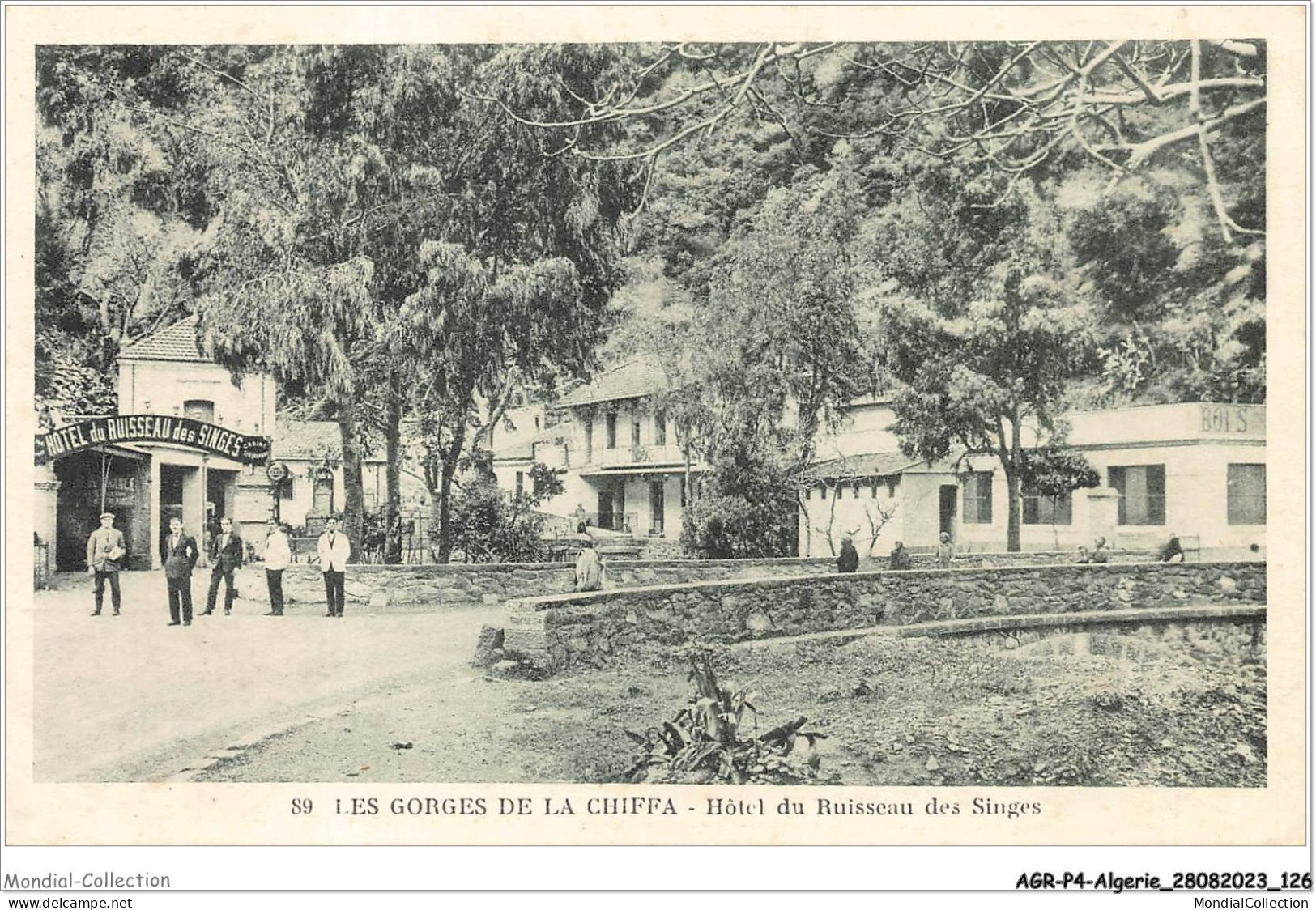 AGRP4-0309-ALGERIE - Les Gorges De La Chiffa - Hotel Du Ruisseau Des Singes - Autres & Non Classés