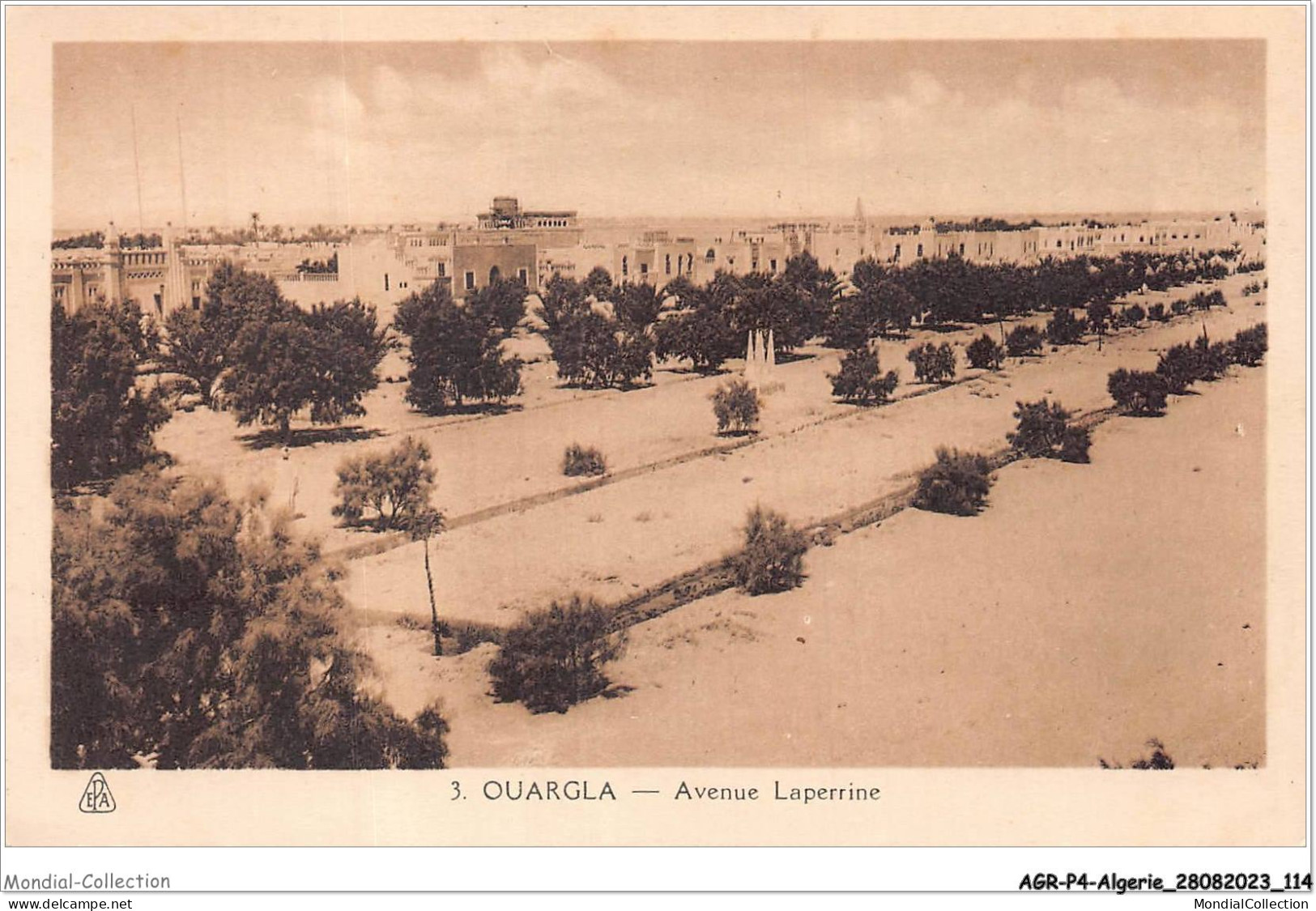 AGRP4-0303-ALGERIE - OUARGLA - Avennue Laperrine - Ouargla