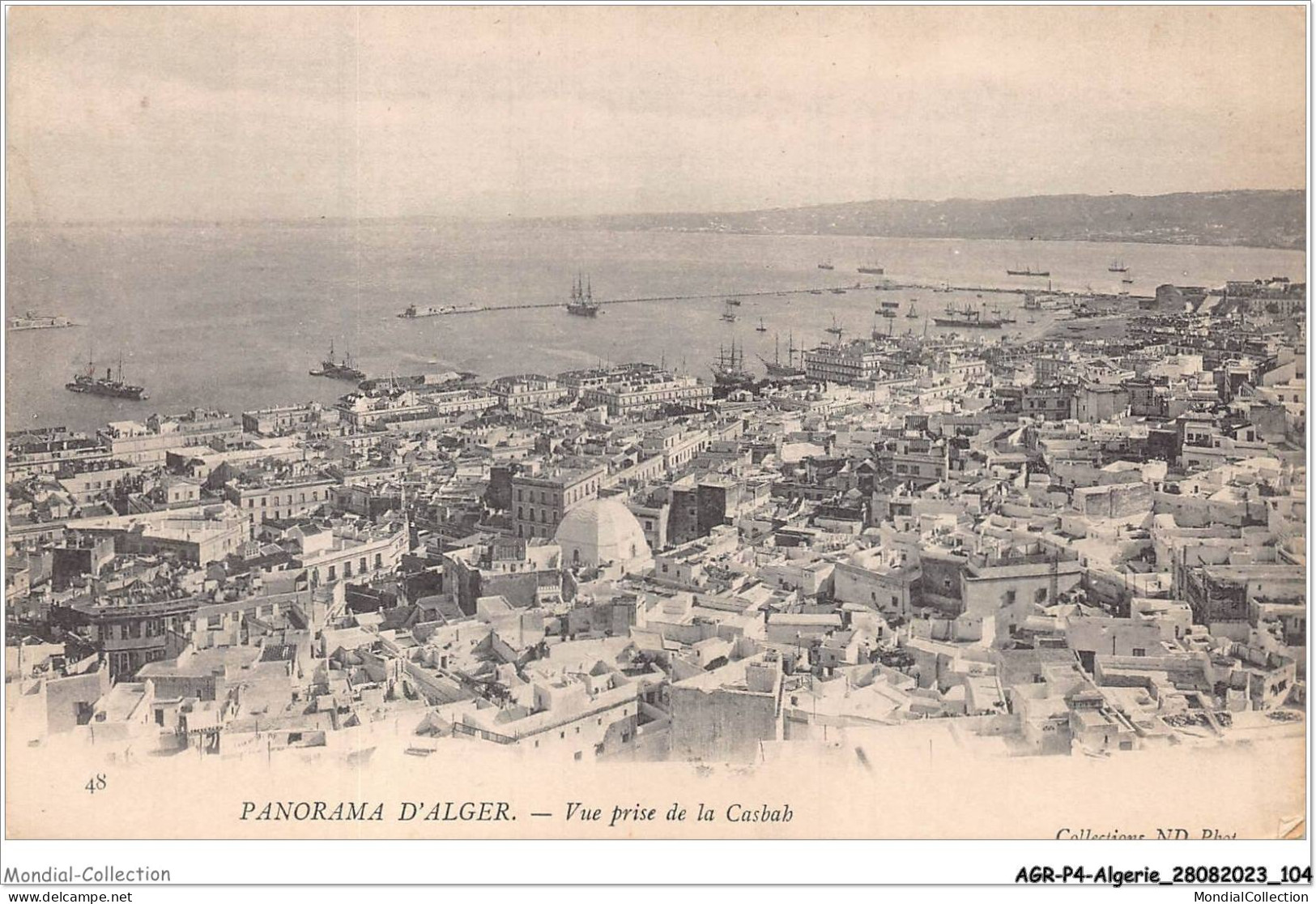 AGRP4-0298-ALGERIE - Panorama D'ALGER - Vue Prise De La Casbah - Alger
