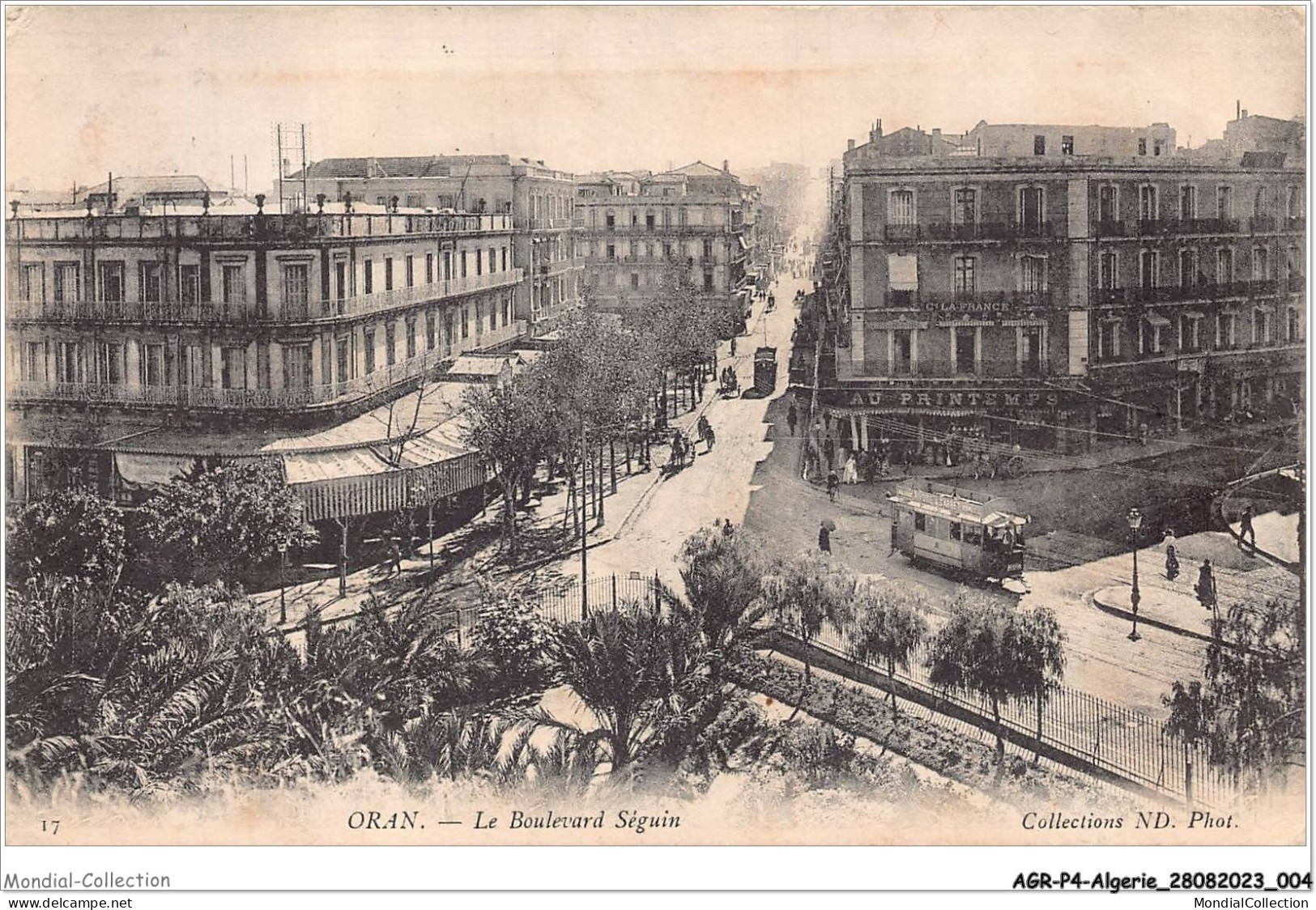 AGRP4-0248-ALGERIE - ORAN - Le Boulevard Séguin - Oran