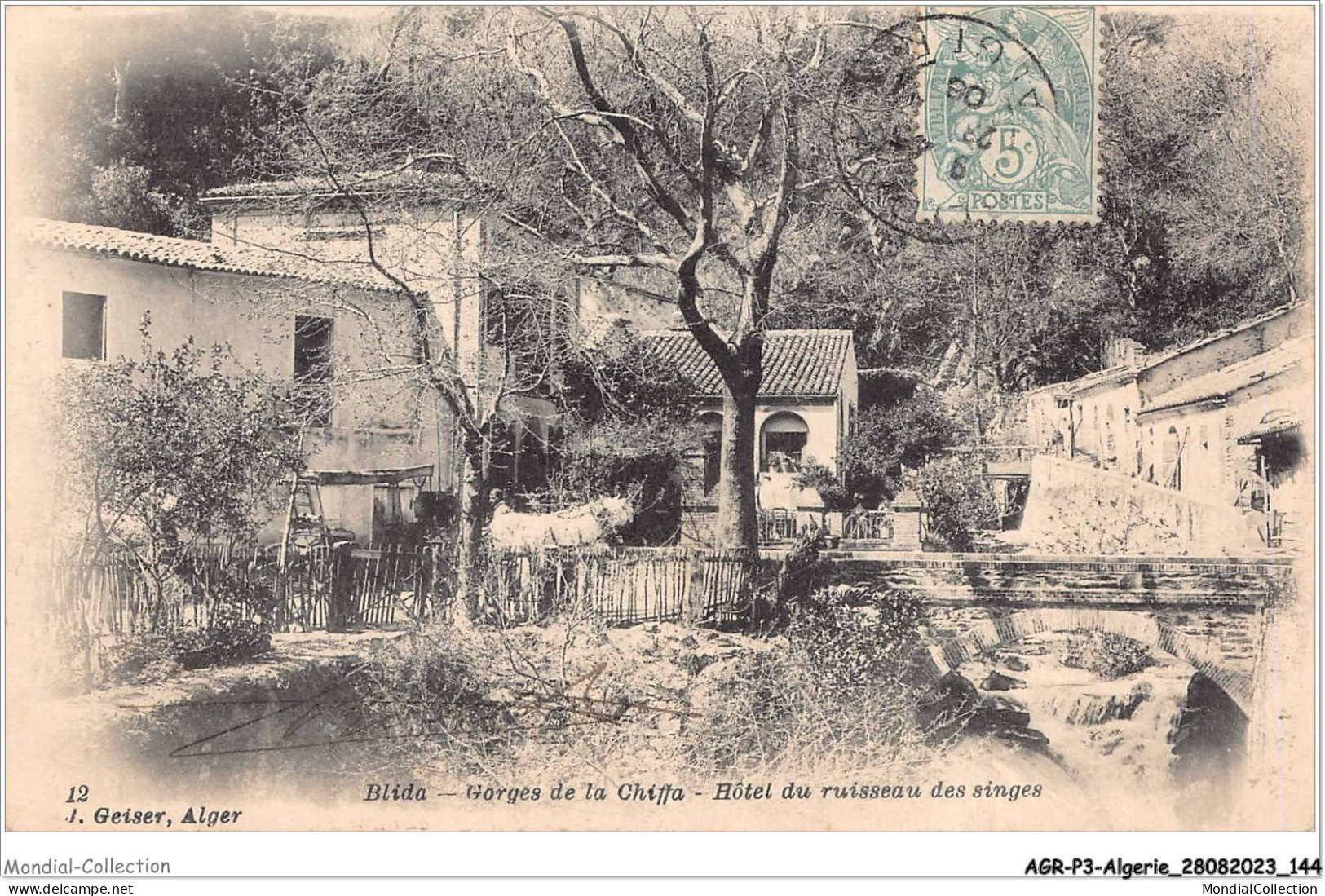 AGRP3-0230-ALGERIE - BLIDA - Gorges De La Chiffa - Hotel Du Ruisseau Des Signes - Blida