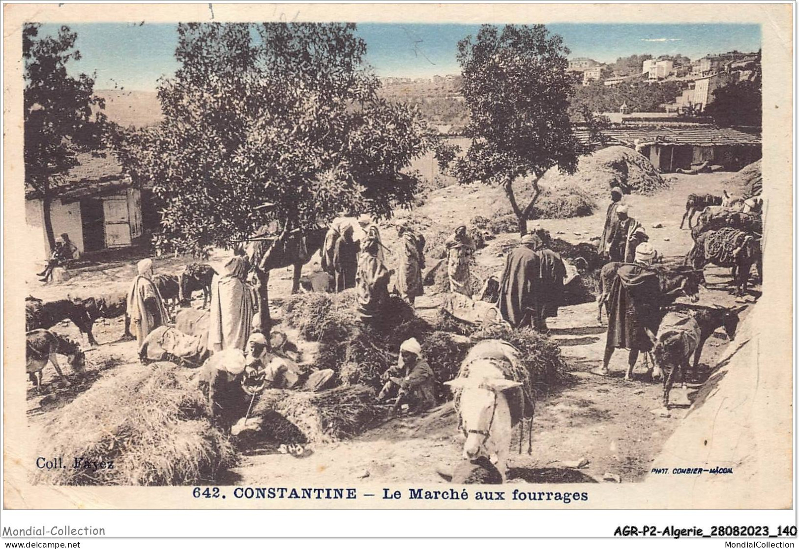 AGRP2-0145-ALGERIE - CONSTANTINE - Le Marché Aux Fourrges - Constantine