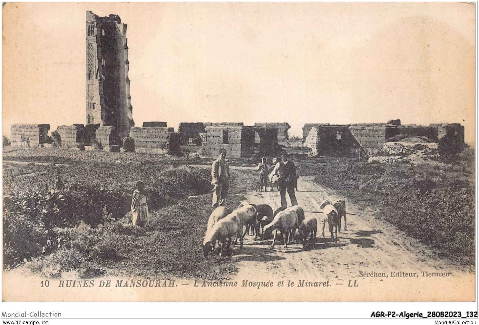 AGRP2-0141-ALGERIE - Ruines De Mansourah - L'ancienne Mosquée Et Le Minaret - Scenes