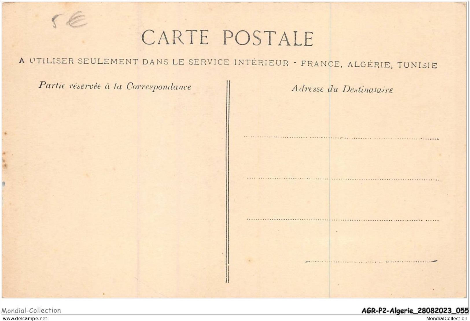 AGRP2-0102-ALGERIE - Etude De Palmier - Scènes & Types