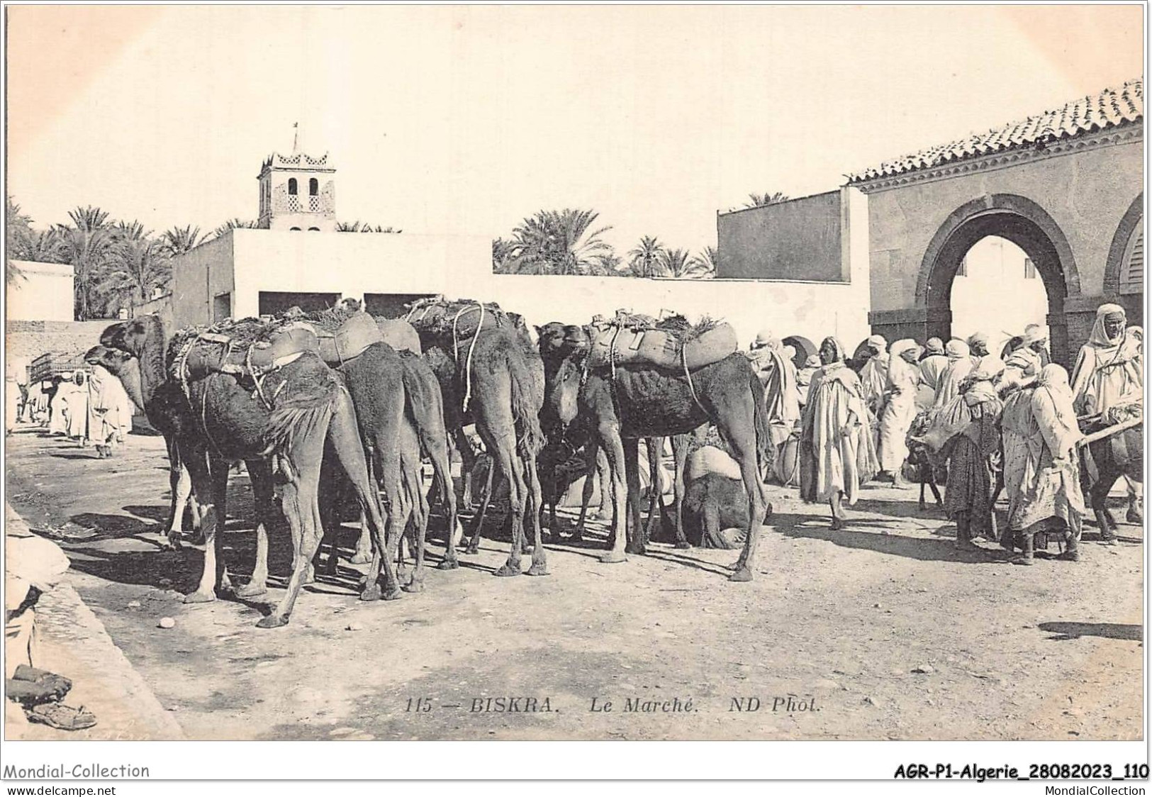 AGRP1-0056-ALGERIE - BISKRA - Le Marché - Biskra