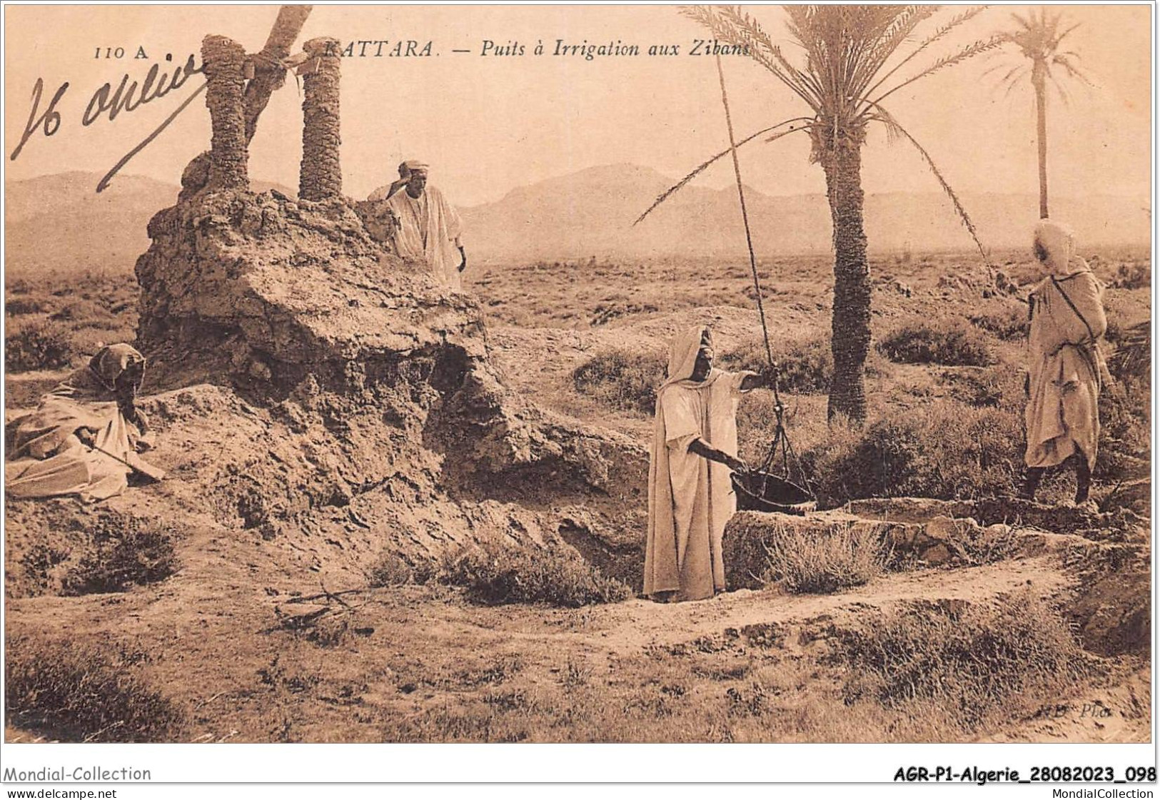 AGRP1-0050-ALGERIE - KATTARA - Puits A Irrigation Aux Zibans - Other & Unclassified