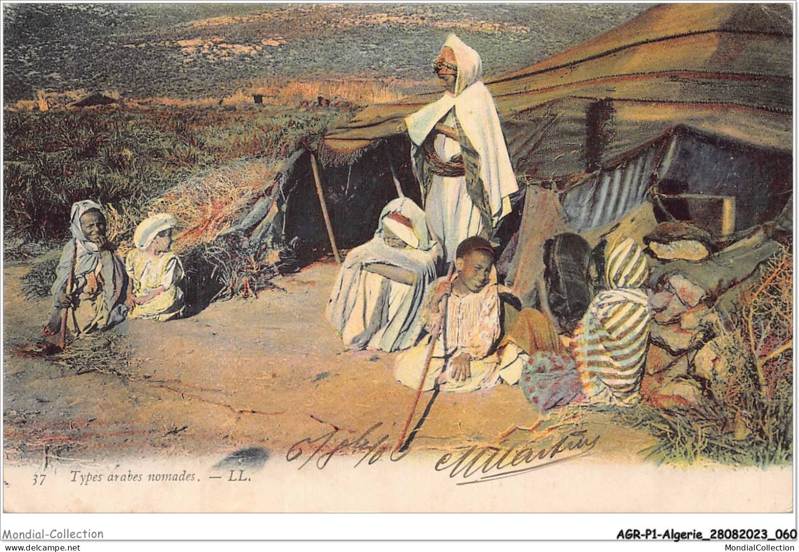AGRP1-0031-ALGERIE - Scenes Et Types - Arabes Nomades - Scenes
