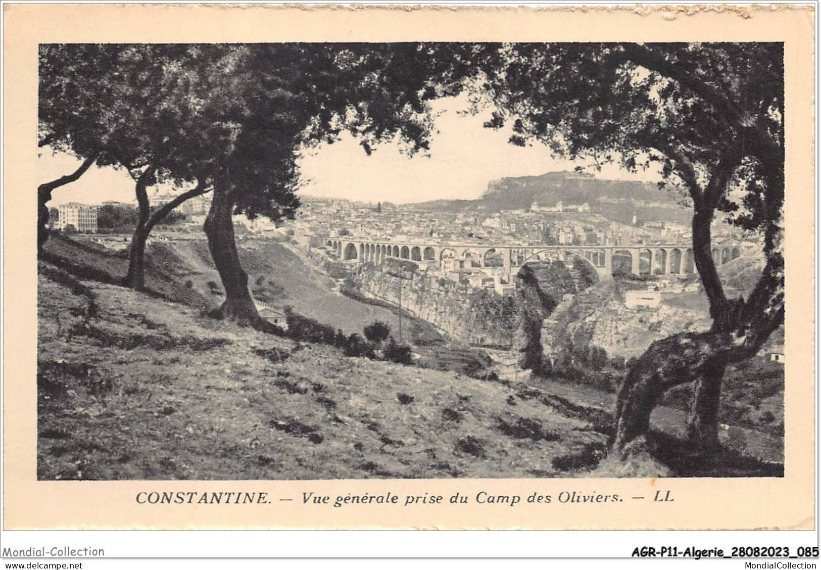 AGRP11-0818-ALGERIE - CONSTANTINE - Vue Générale Prise Du Camp Des Oliviers  - Konstantinopel