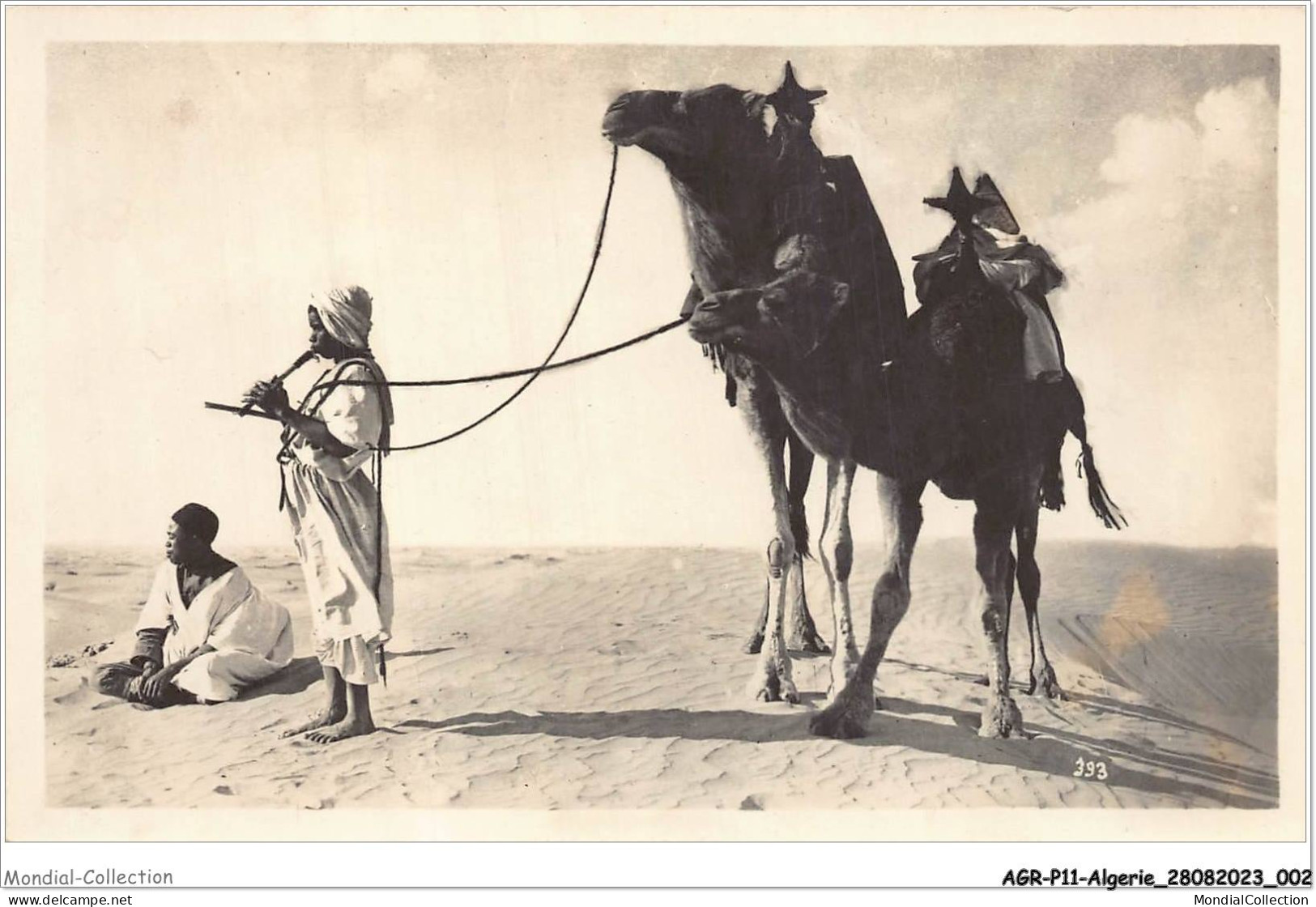 AGRP11-0776-ALGERIE - La Musique Au Désert  - Plaatsen