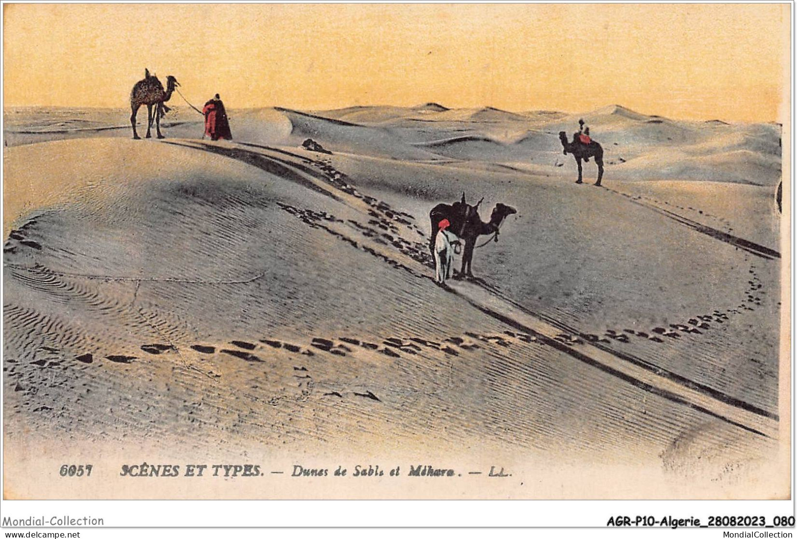AGRP10-0743-ALGERIE - Scénes Et Types - Dunes De Sable Et Méhare  - Scene & Tipi