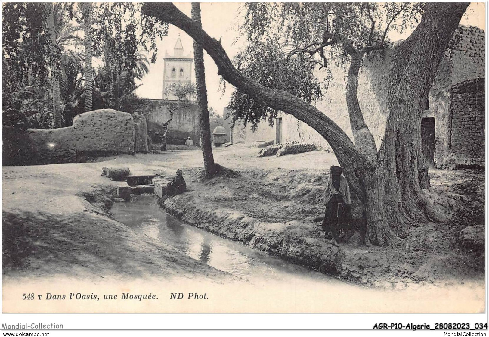 AGRP10-0720-ALGERIE - Dans L'oasis Une Mosquée  - Plaatsen