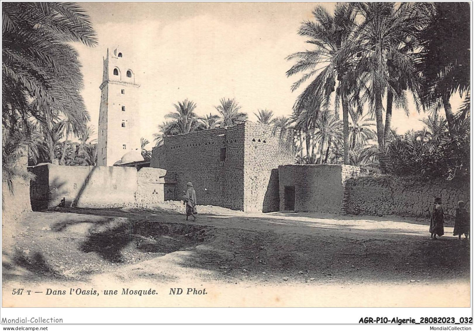 AGRP10-0719-ALGERIE - Dans L'oasis Une Mosquée  - Scenes