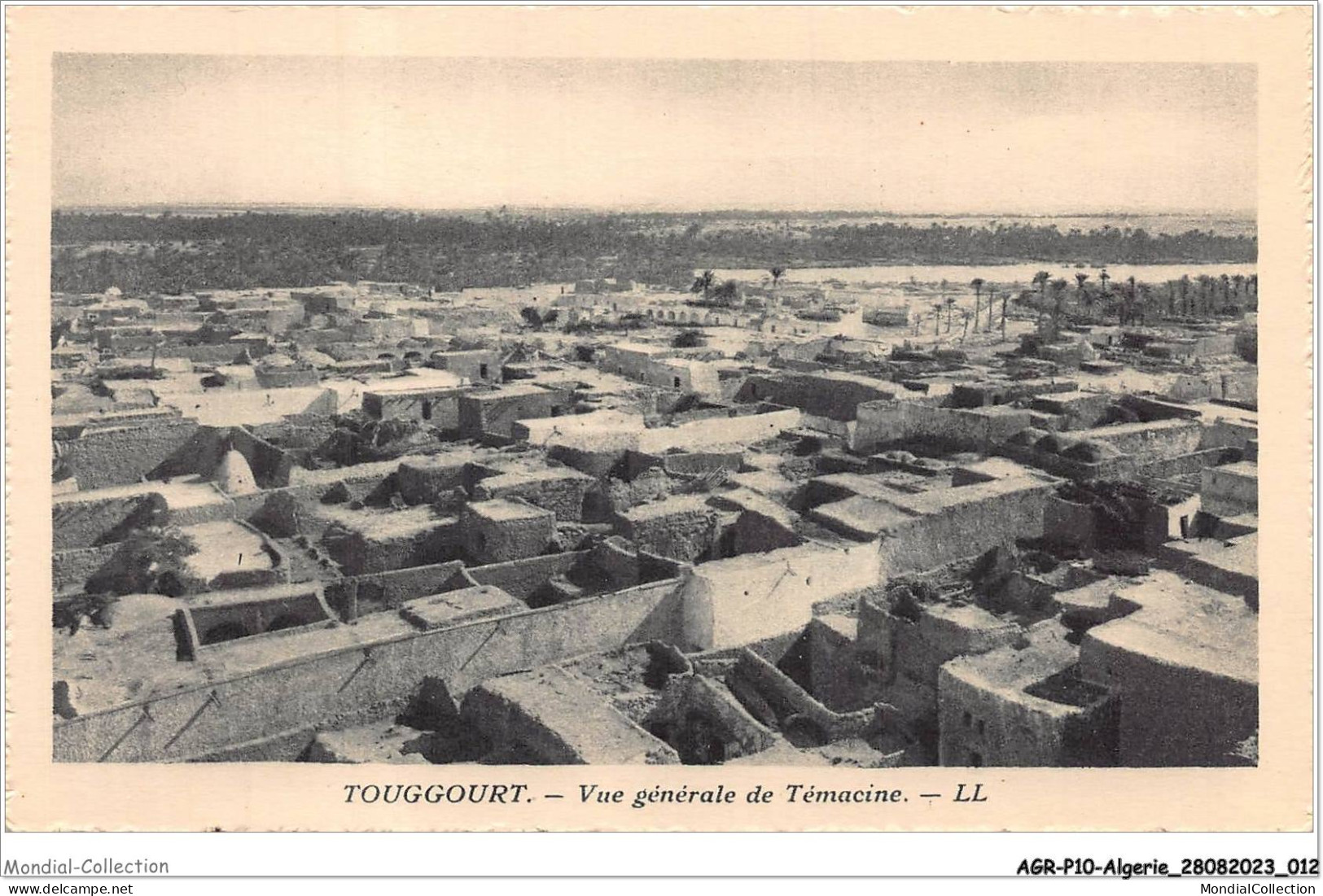 AGRP10-0709-ALGERIE - TOUGGOURT - Vue Générale De Témacine  - Other & Unclassified
