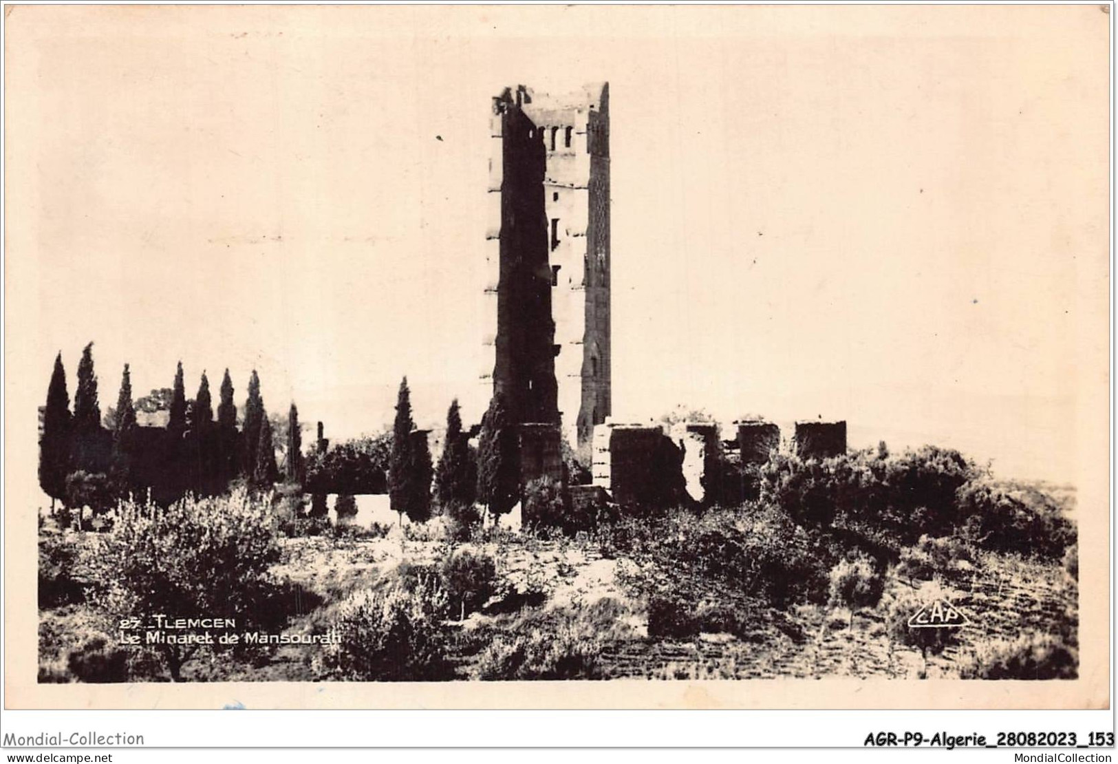 AGRP9-0700-ALGERIE - TLEMCEN - Le Minaret De Mansourati  - Tlemcen