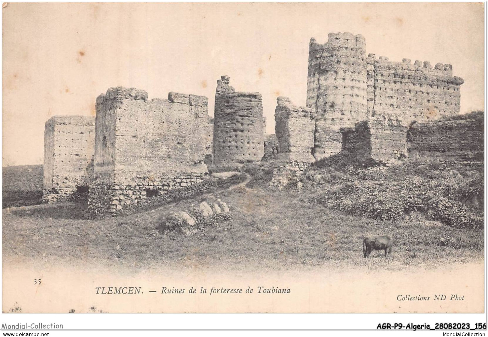 AGRP9-0702-ALGERIE - TLEMCEN - Ruines De La Forteresse De Toubiana  - Tlemcen