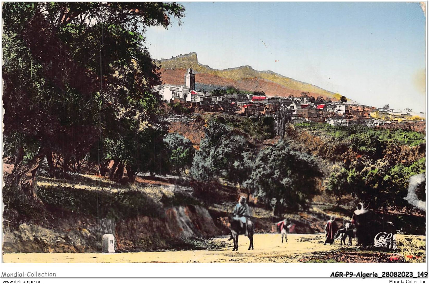 AGRP9-0698-ALGERIE - TLEMCEN - Sidi-bou-médine - Vue Prise De La Route De Bel-abbés  - Tlemcen