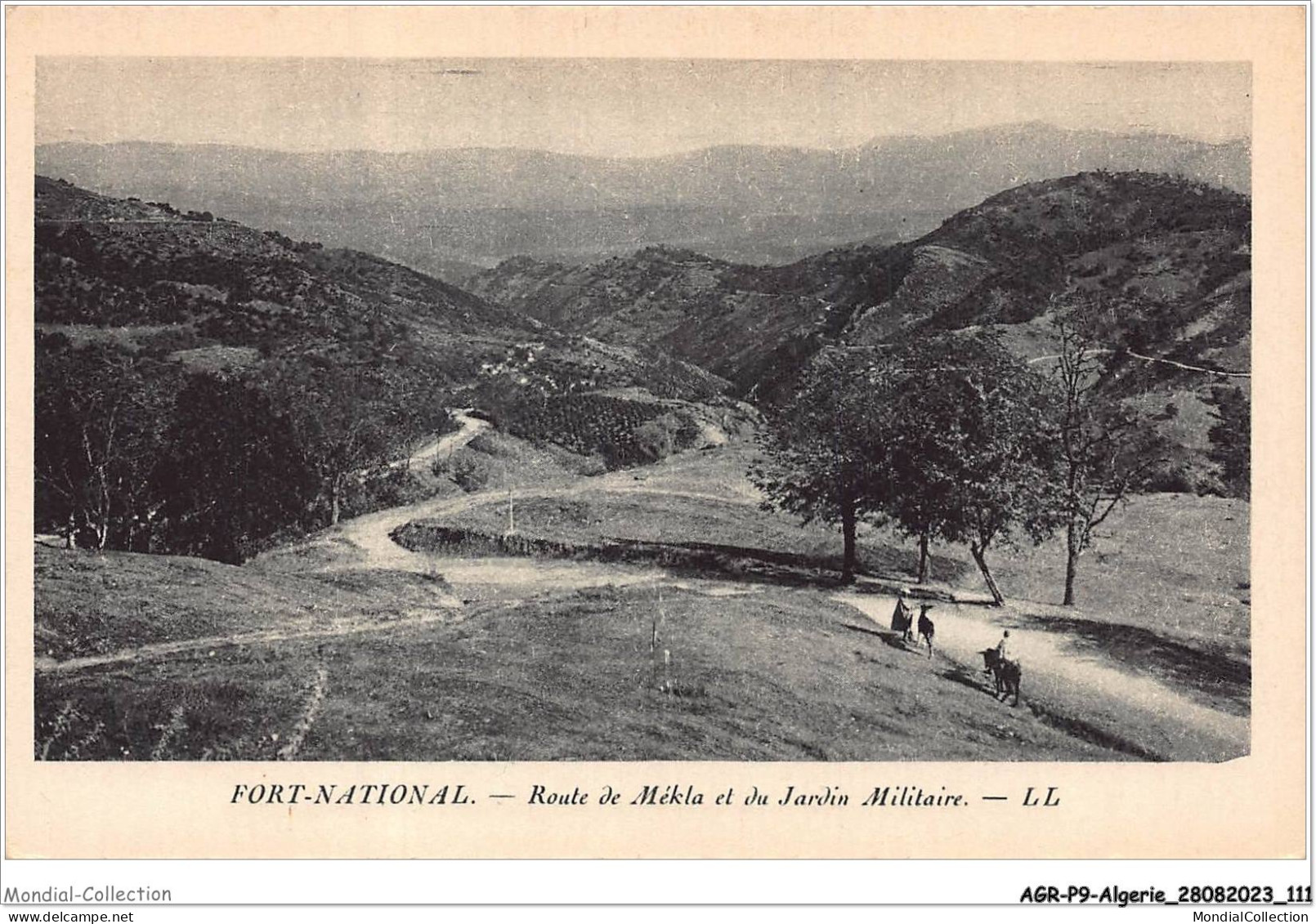 AGRP9-0679-ALGERIE - FORT-NATIONAL - Route De Mékla Et Du Jardin Militaire  - Tizi Ouzou