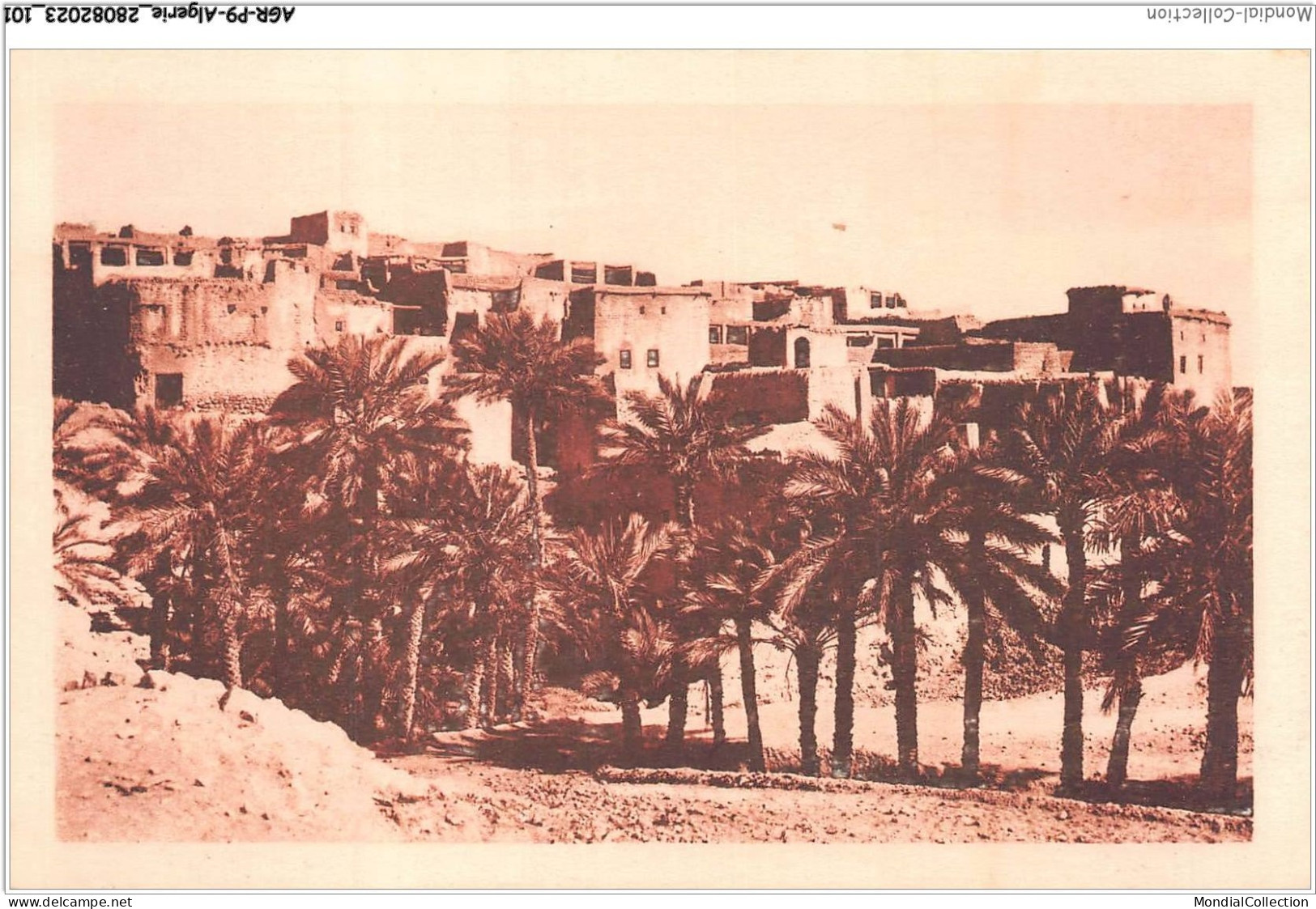 AGRP9-0674-ALGERIE - FIGUIG - Les Ksours D'el-hammam Vus Du Sud-ouest  - Other & Unclassified