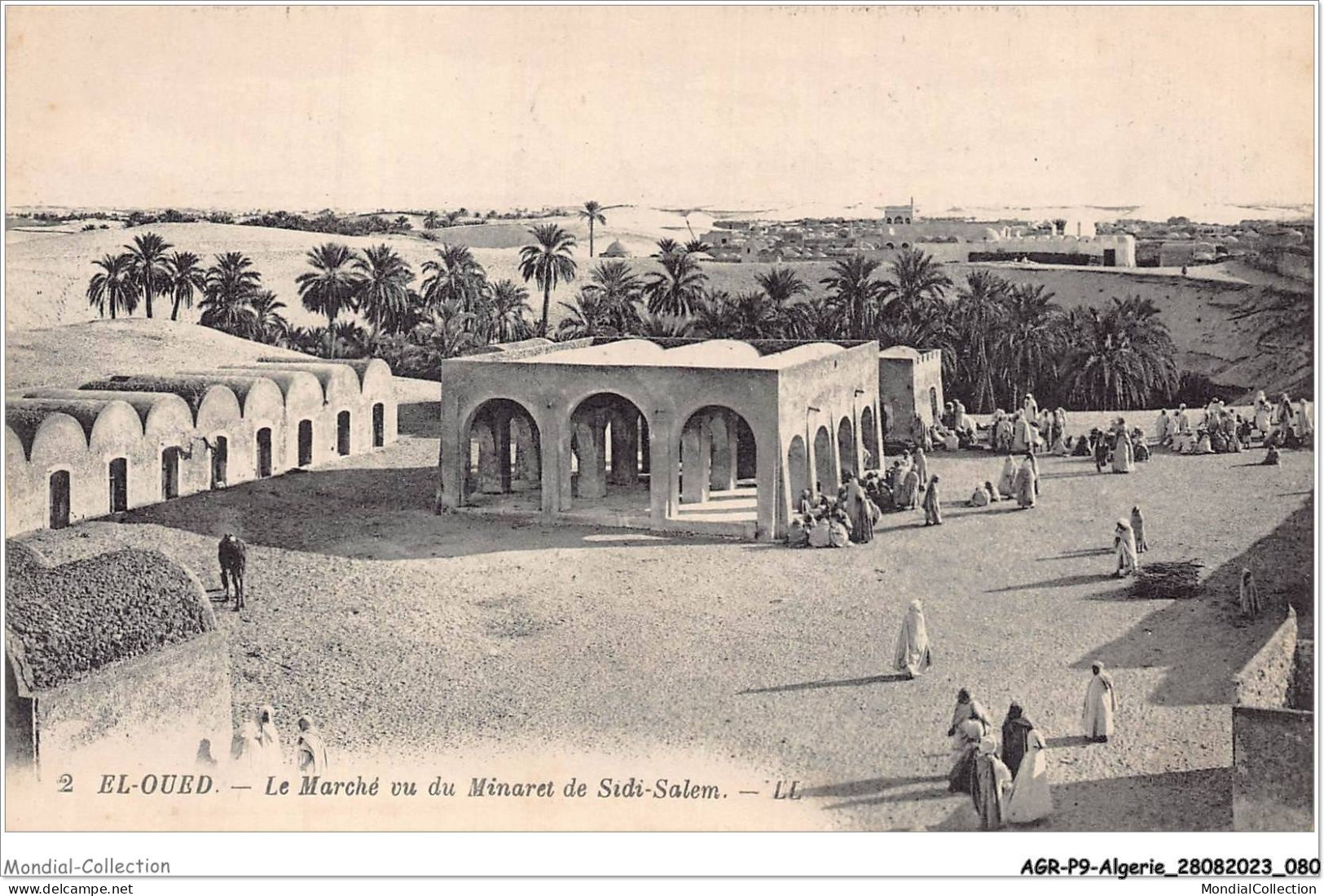 AGRP9-0663-ALGERIE - EL-OUED - Le Marché Vu Du Minaret De Sidi-salem  - El-Oued